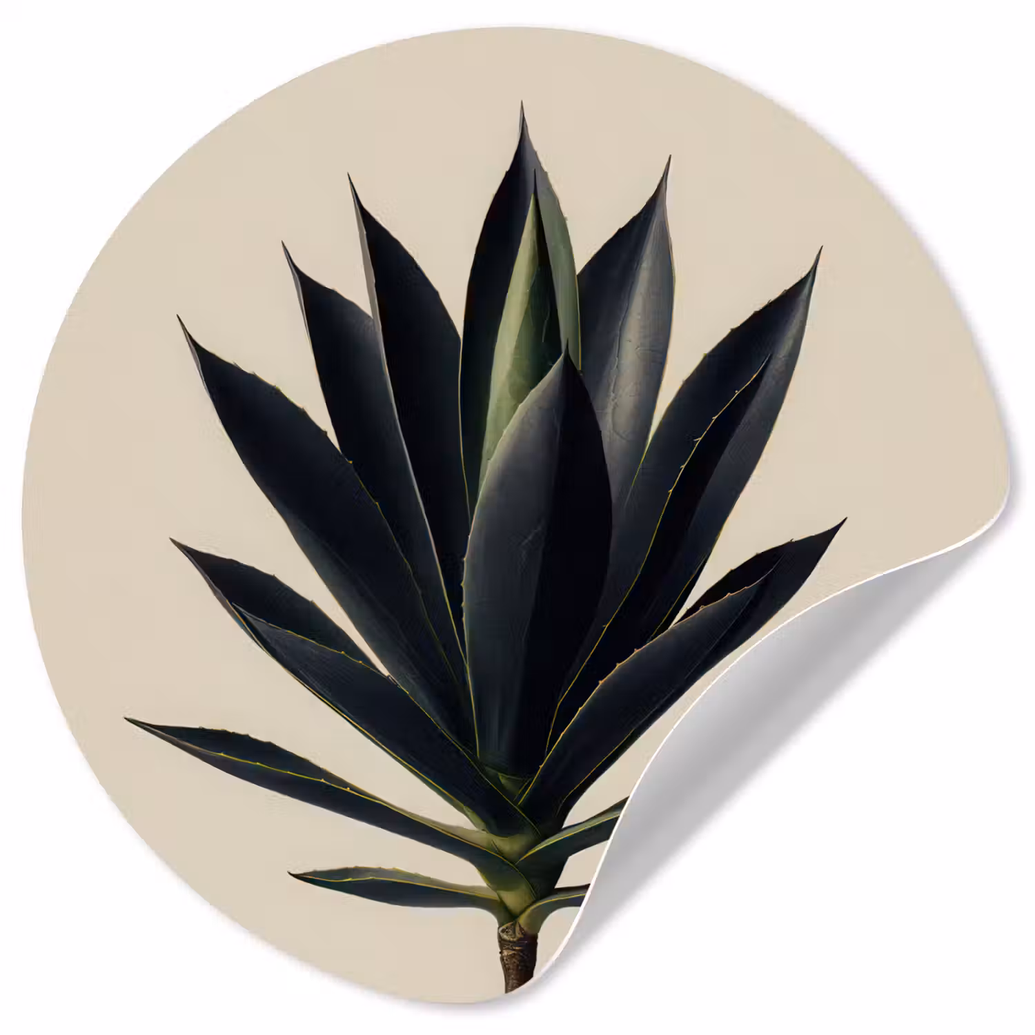 Agaveplant - Symmetrisch - Groen Wandcirkel behangsticker klein -3d