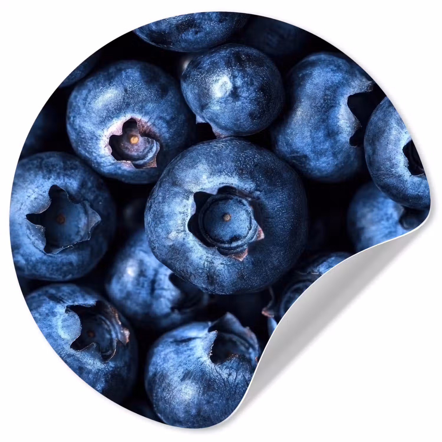 Bessen - Blauw - Fruit Wandcirkel behangsticker klein -3d