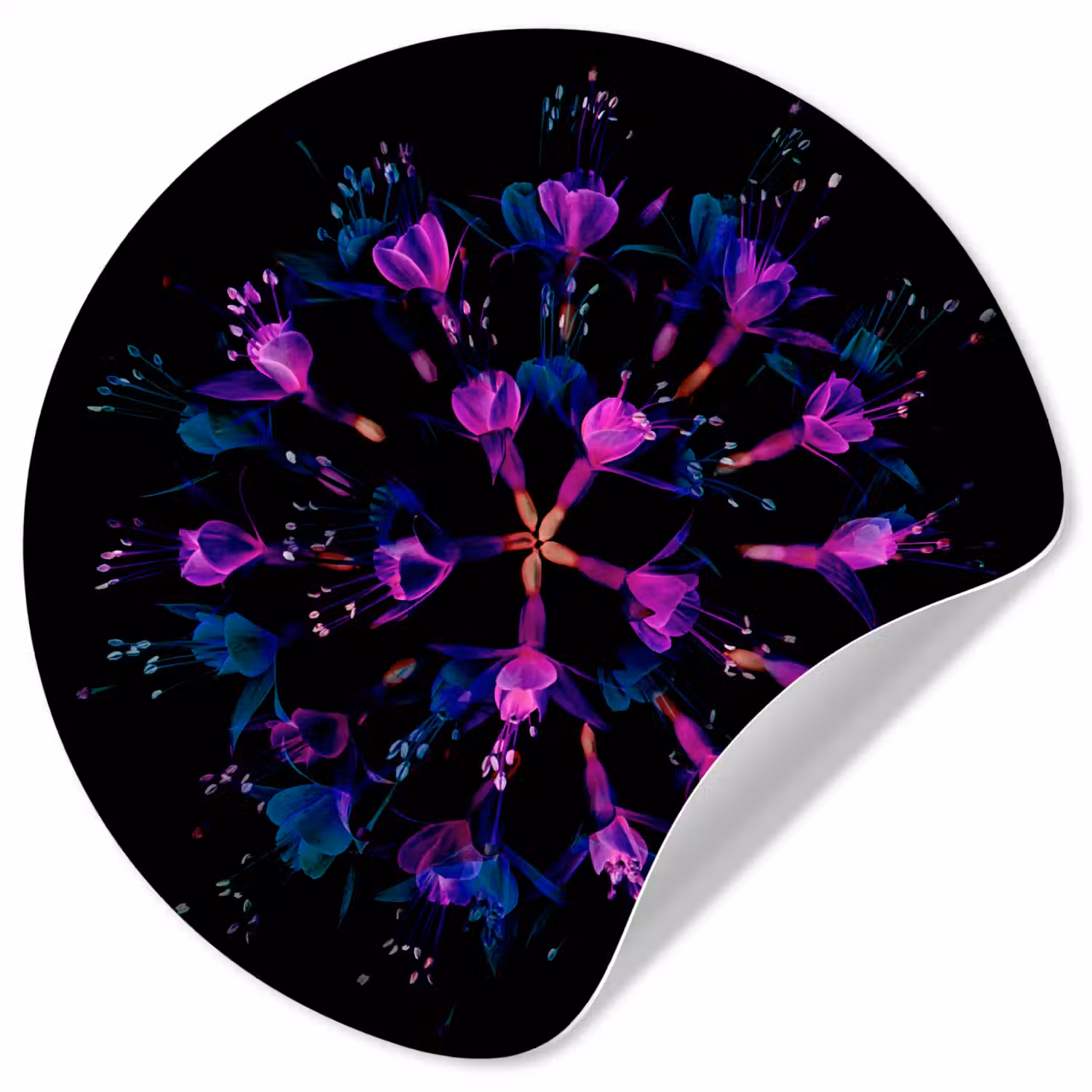 Bloem - Paars - Blauw - Macro - Zwart Wandcirkel behangsticker klein -3d