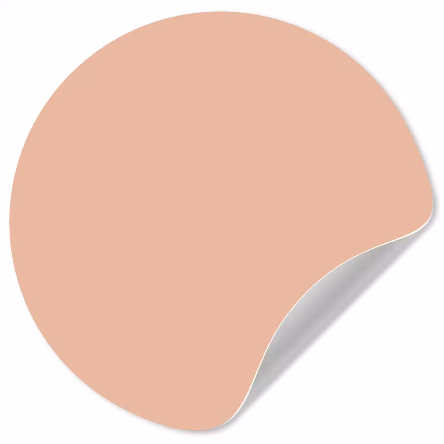 Blush - Terracotta - Nude Wandcirkel behangsticker klein 186 -3d
