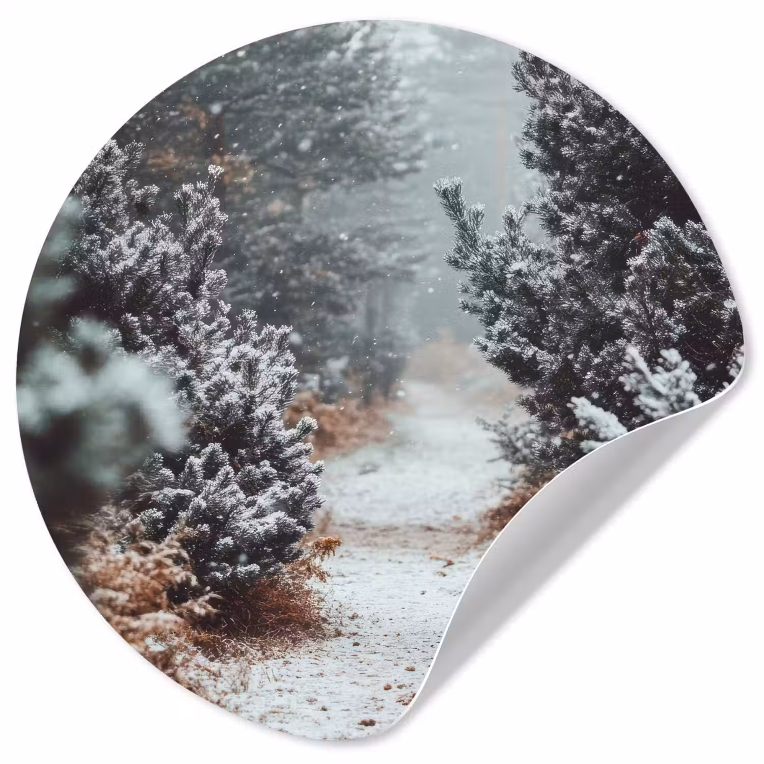 Bos - Winter - Bomen - Natuur - Pad - Sneeuw Wandcirkel behangsticker klein -3d