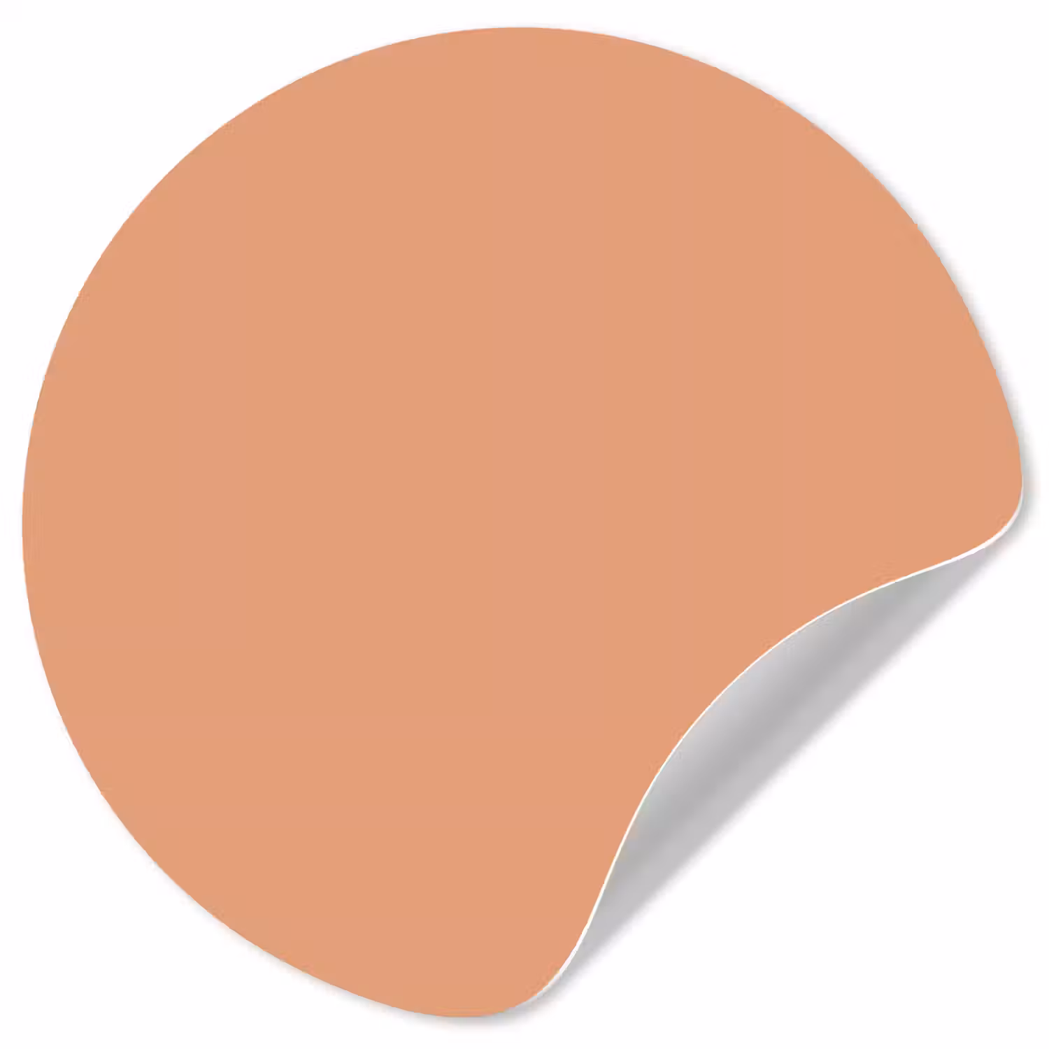 Desert - Coral - Koraal Wandcirkel behangsticker klein 186 -3d