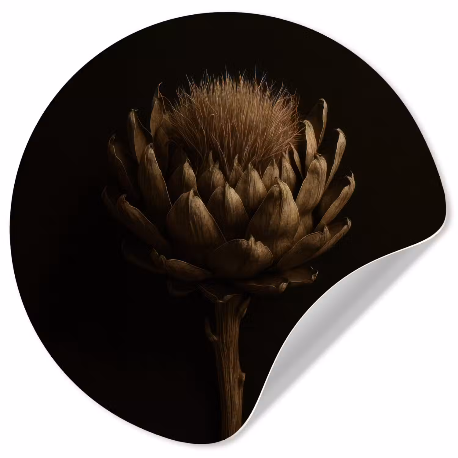 Donkerbruin - Bloem - Textuur - Artisjok Wandcirkel behangsticker klein -3d