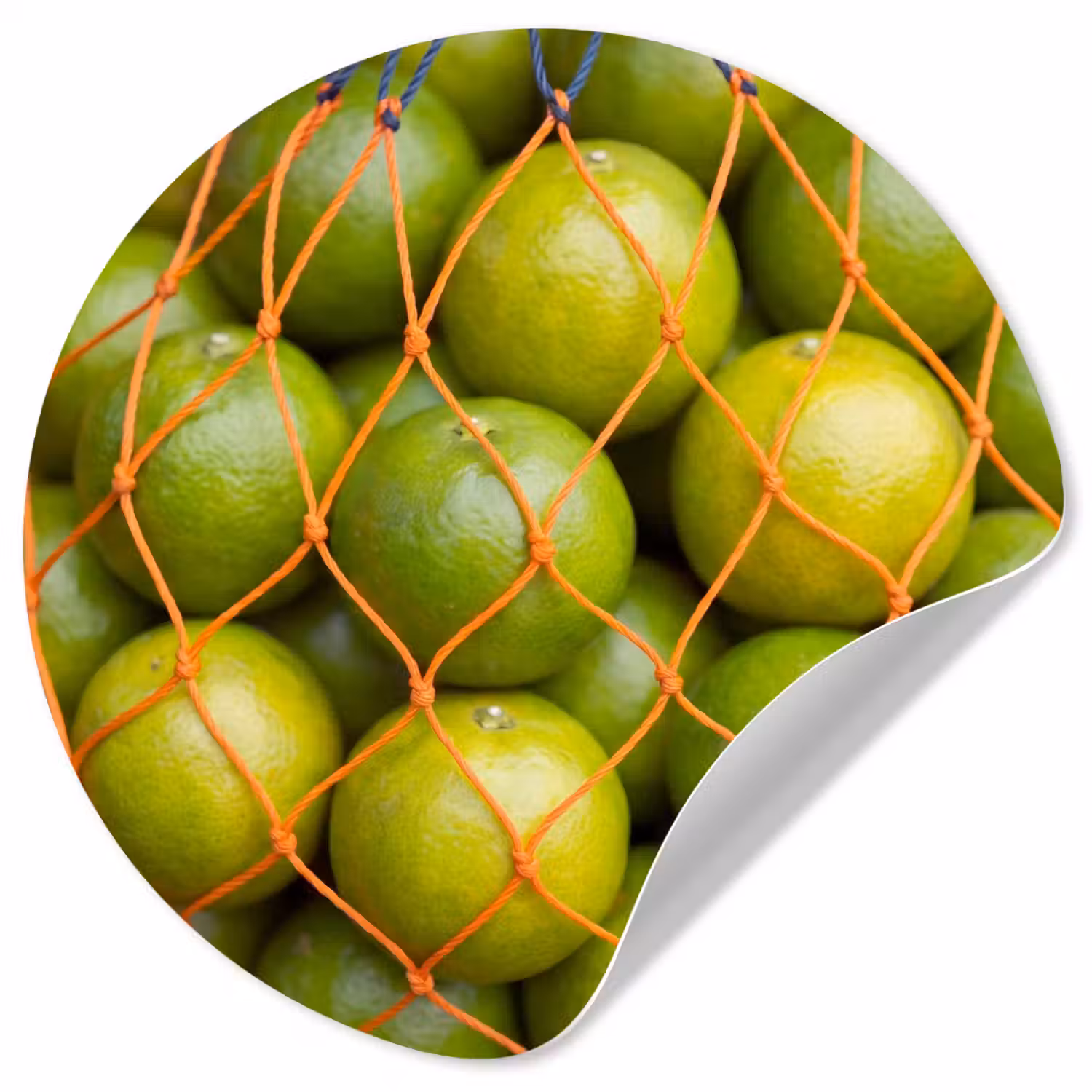 Eten - Net - Groen - Markt Wandcirkel behangsticker klein -3d