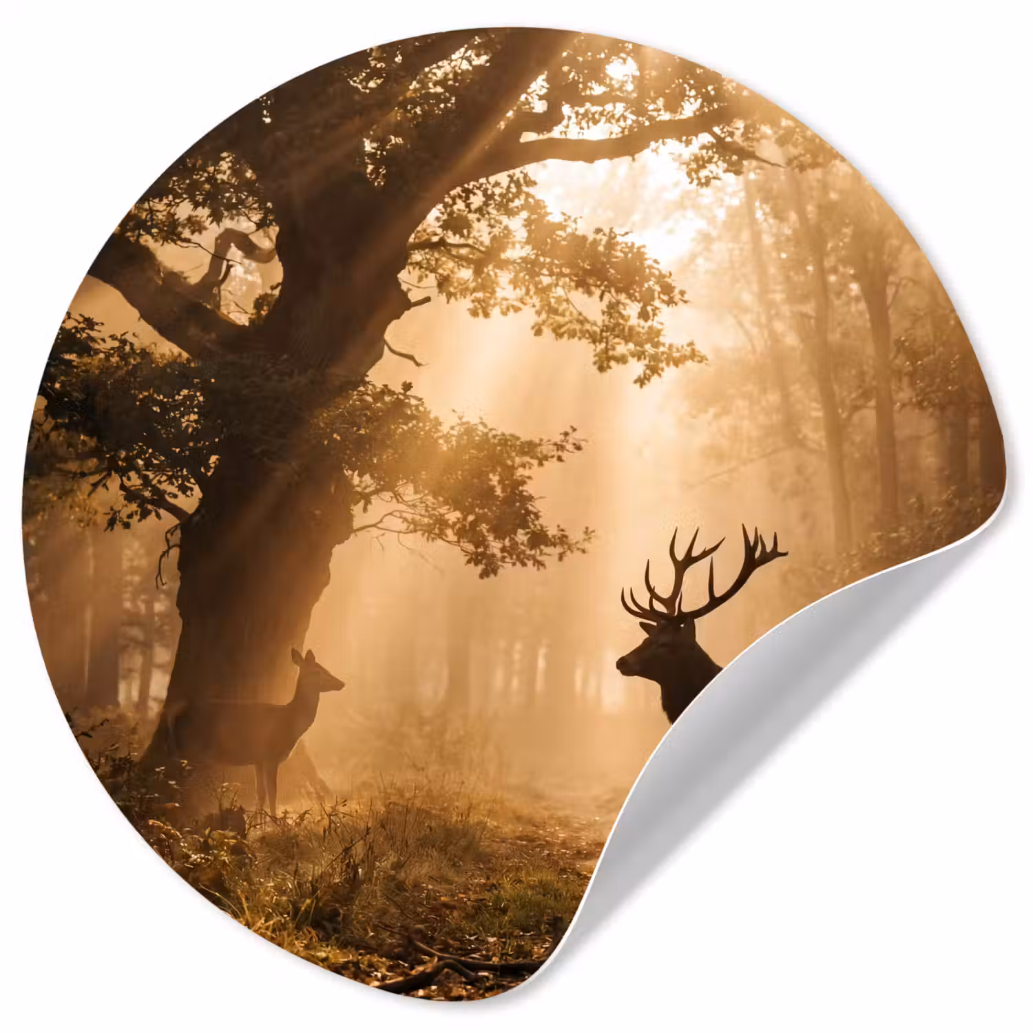 Hert - Bos - Mistig - Natuur - Goud Wandcirkel behangsticker klein -3d