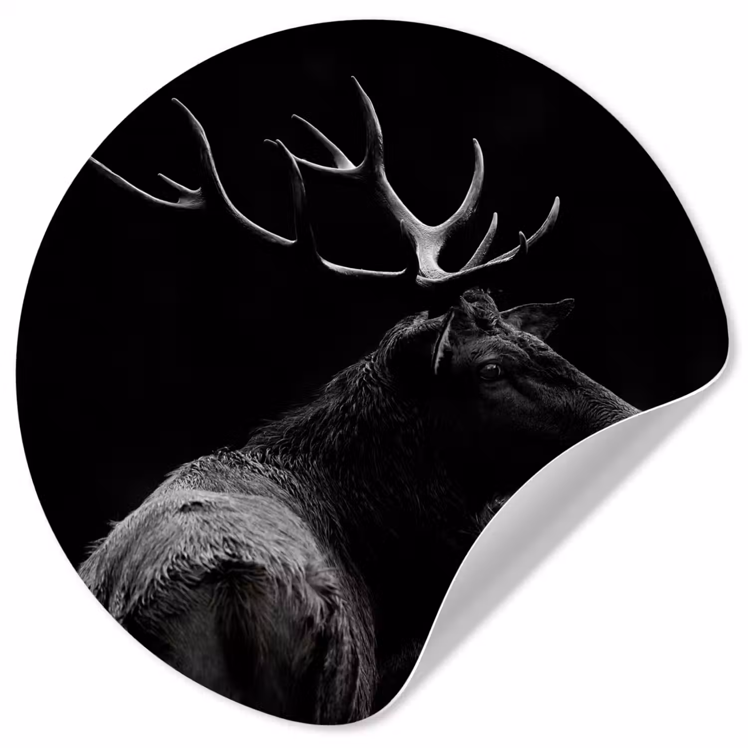 Hert - Zwart - Portret - Gewei - Dieren Wandcirkel behangsticker klein -3d