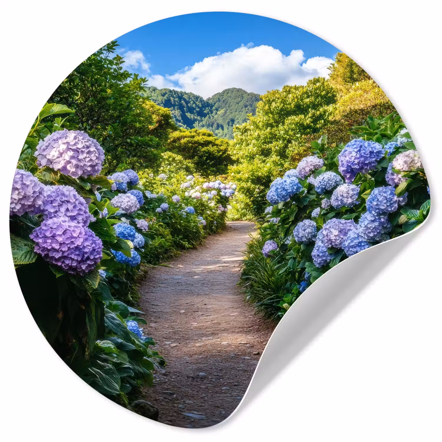 Hortsensia - Pad - Bloemen Wandcirkel behangsticker klein -3d
