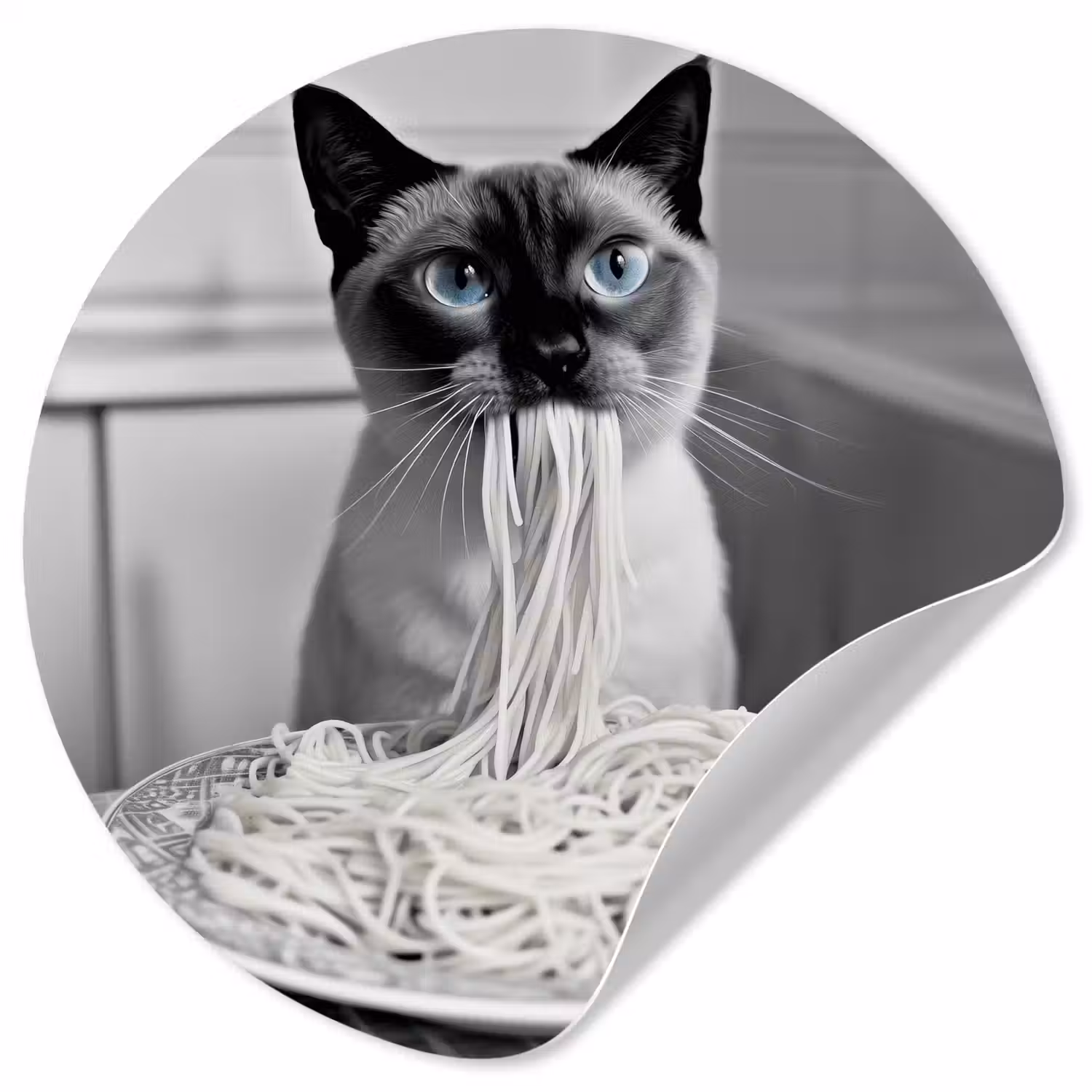 Kat - Siamees - Zwart Wit - Schattig - Dieren Wandcirkel behangsticker klein -3d