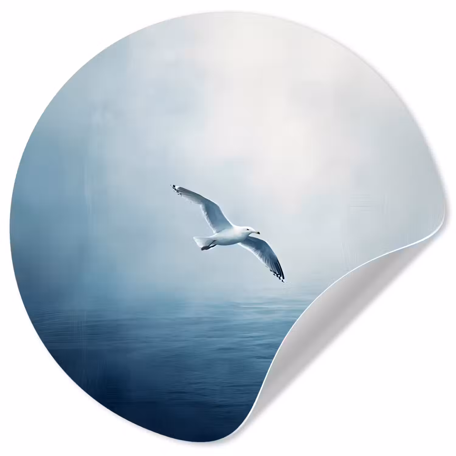 Meeuw - Wit - Zee - Mistig Wandcirkel behangsticker klein -3d