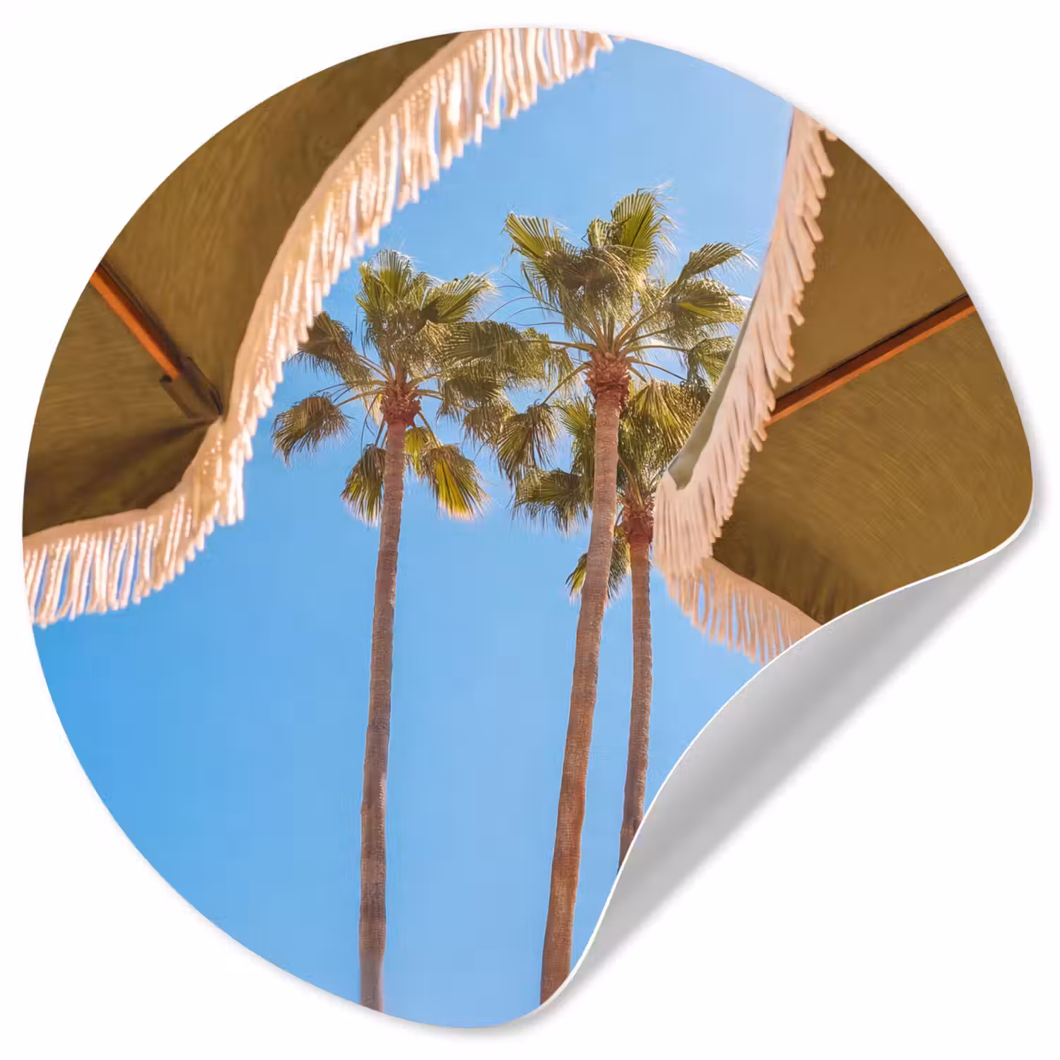 Parasol - Groen - Franjes - Zomer - Tropisch Wandcirkel behangsticker klein -3d