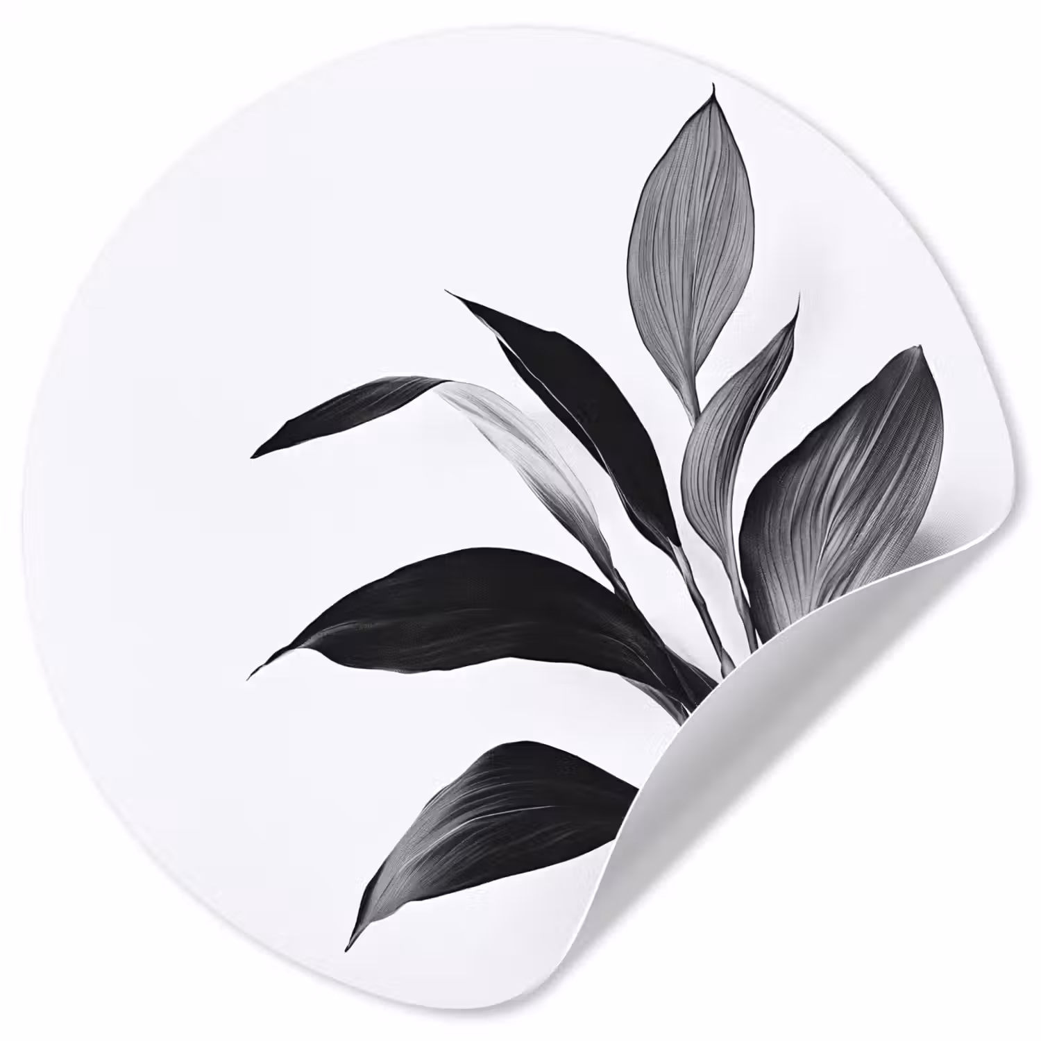 Plant - Bladeren - Minimalistisch - Zwart Wandcirkel behangsticker klein -3d