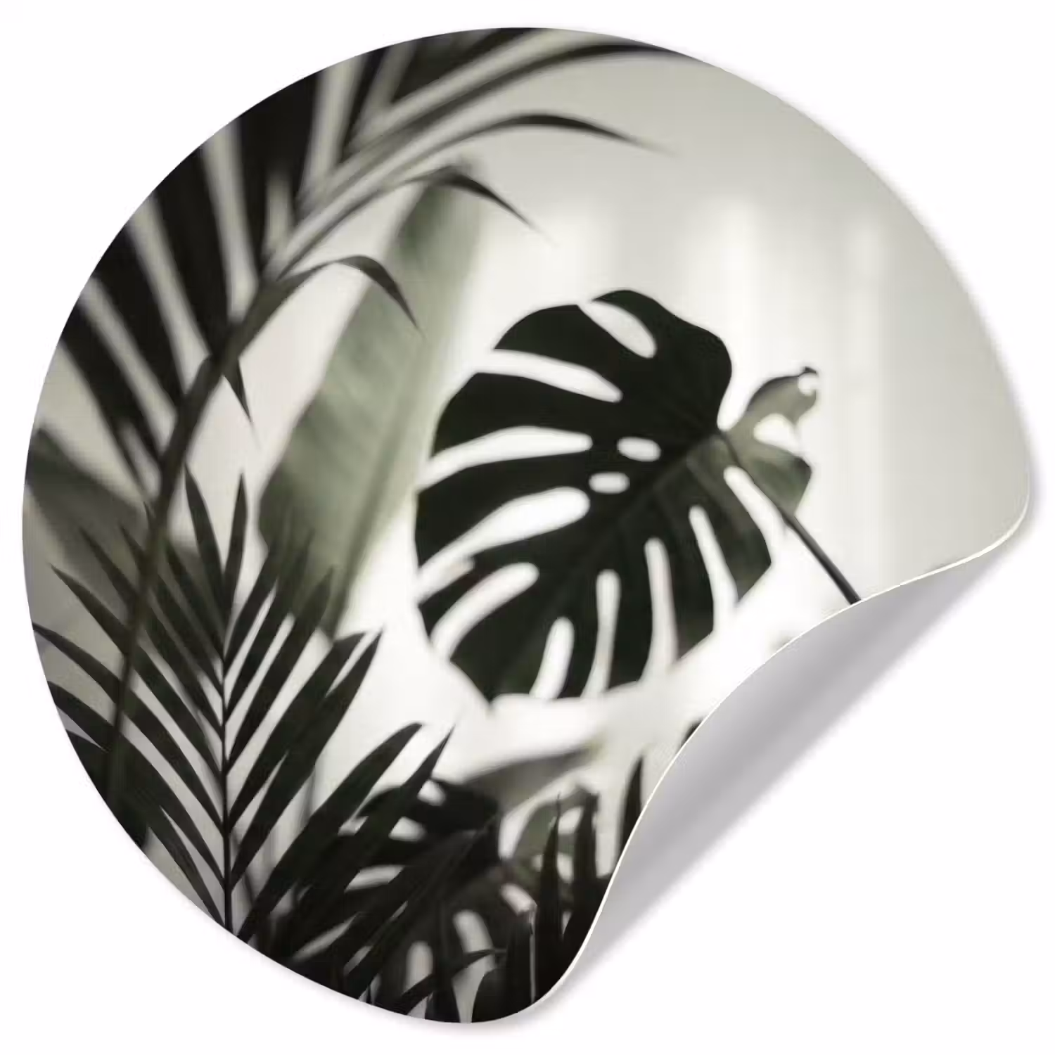 Planten - Bladeren - Natuur - Minimalistisch - Groen Wandcirkel behangsticker klein -3d