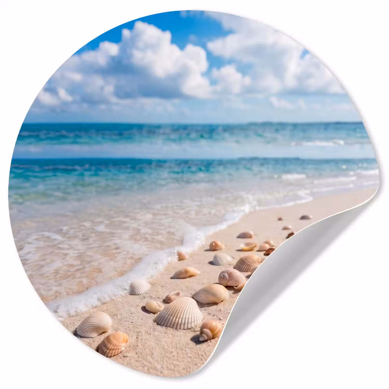 Schelpen - Strand - Natuur - Beige Wandcirkel behangsticker klein -3d