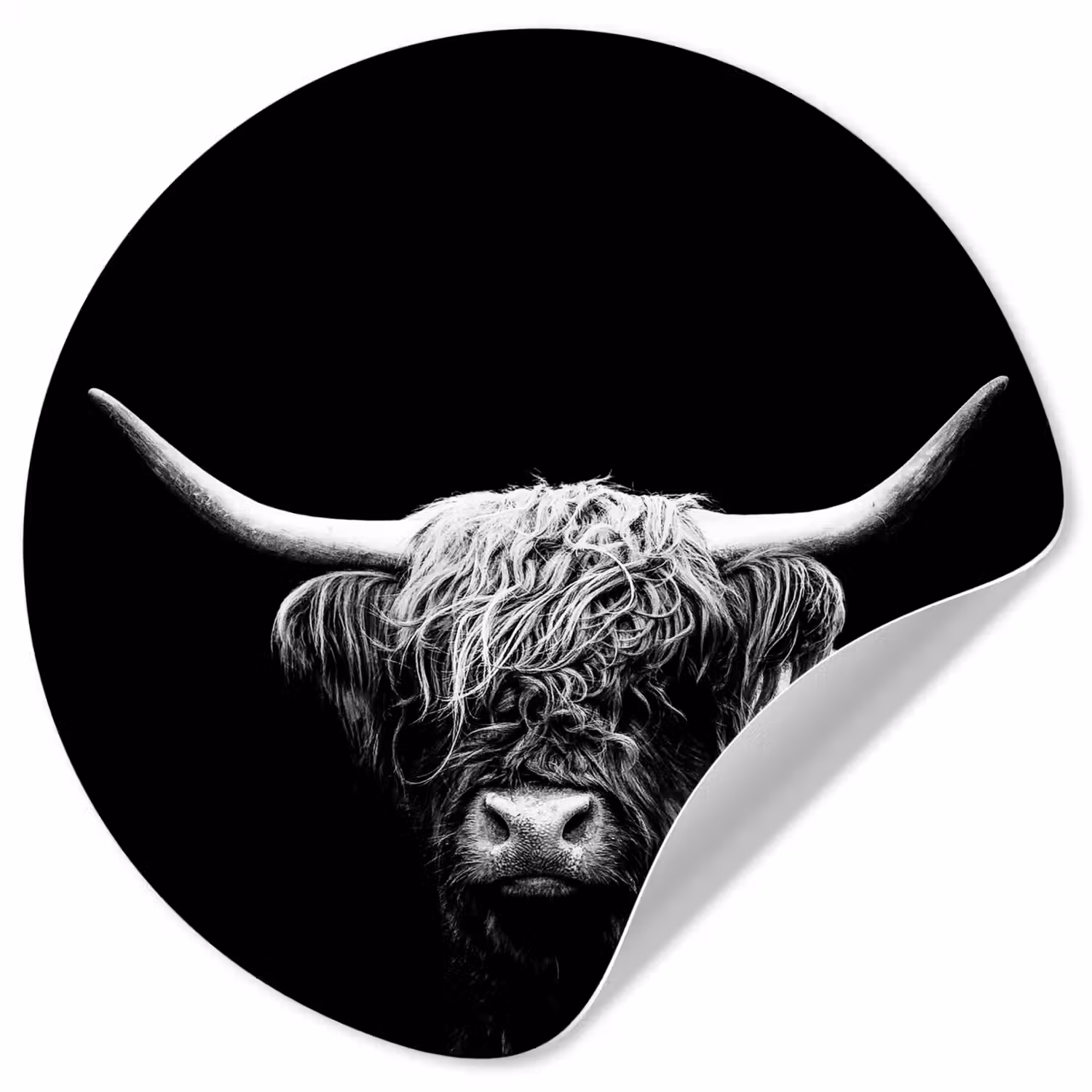 Schotse Hooglander - Koe - Zwart - Wit - Dieren Wandcirkel behangsticker klein -3d