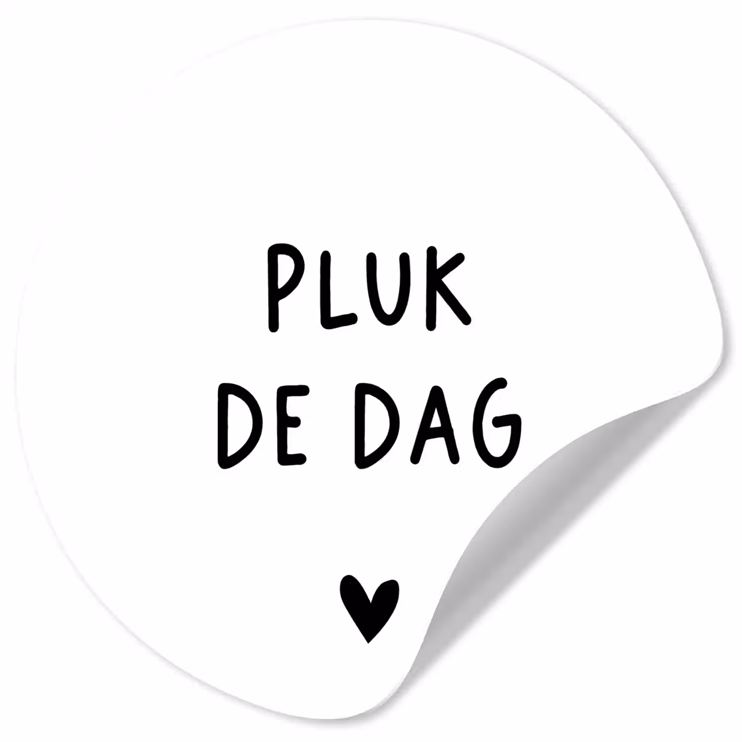 Spreuken - Quotes - Pluk de dag - Carpe diem Wandcirkel behangsticker klein -3d