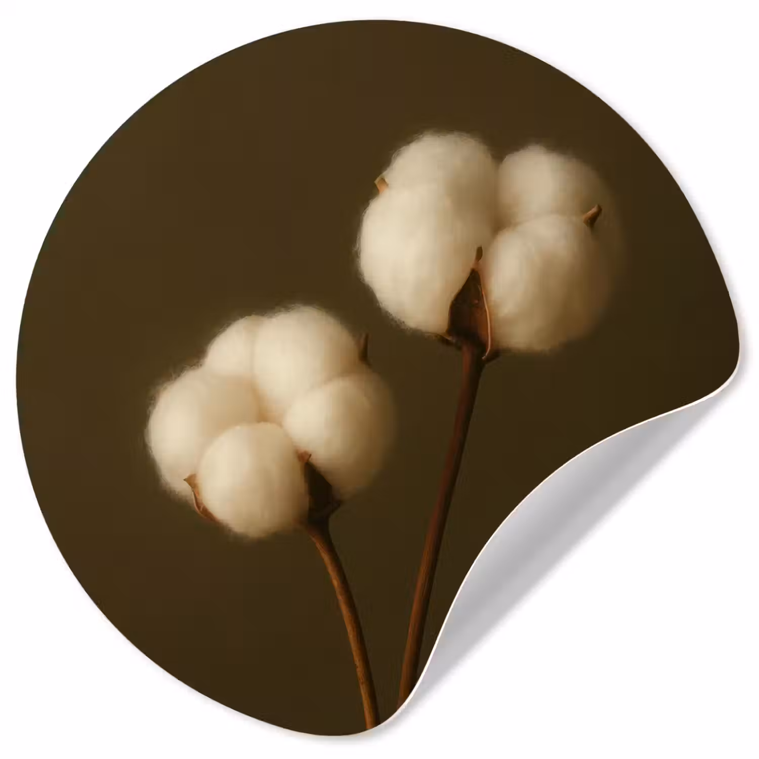 Takken - Katoen - Wit - Bollen Wandcirkel behangsticker klein -3d