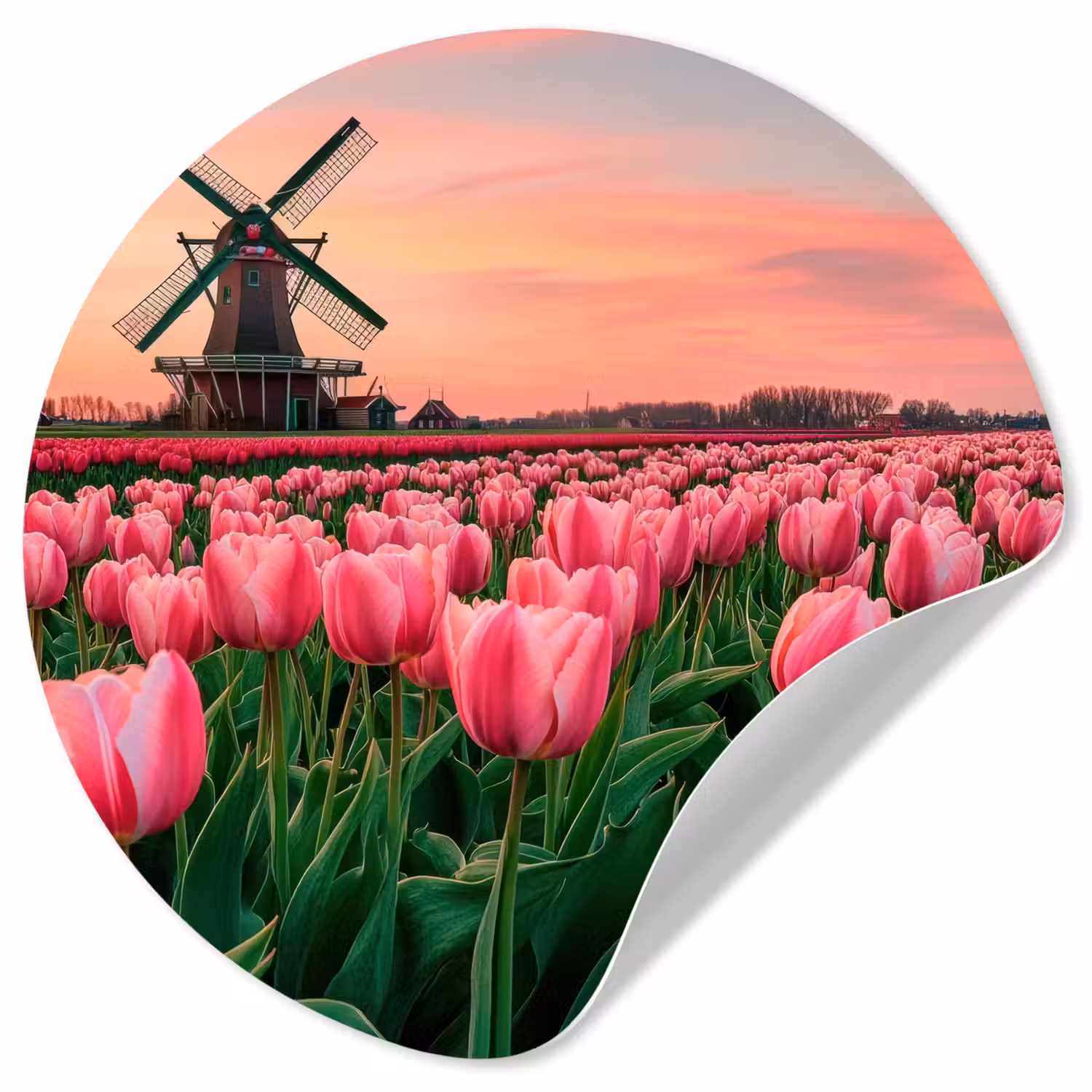 Tulpen - Molen - Nederland Wandcirkel behangsticker klein -3d