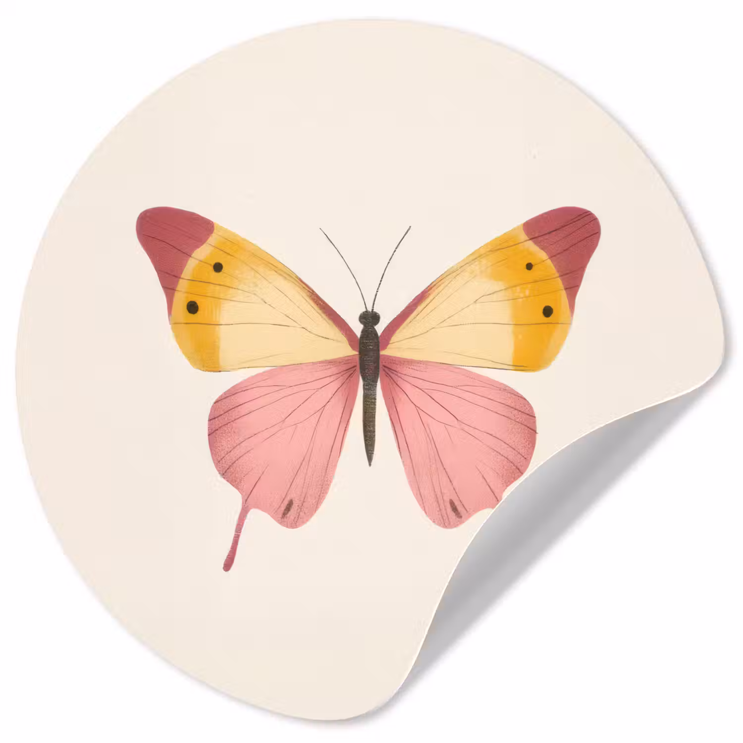 Vlinder - Illustratie - Roze Wandcirkel behangsticker klein -3d