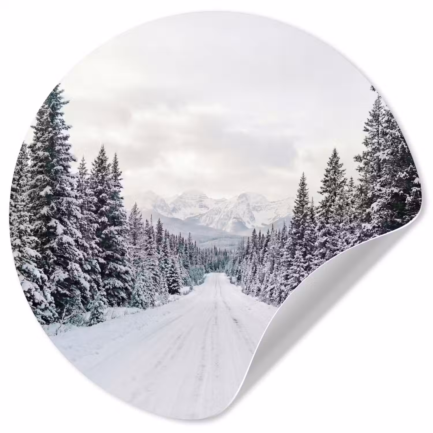Weg - Sneeuw - Naaldbos - Winter - Avontuurlijk Wandcirkel behangsticker klein -3d