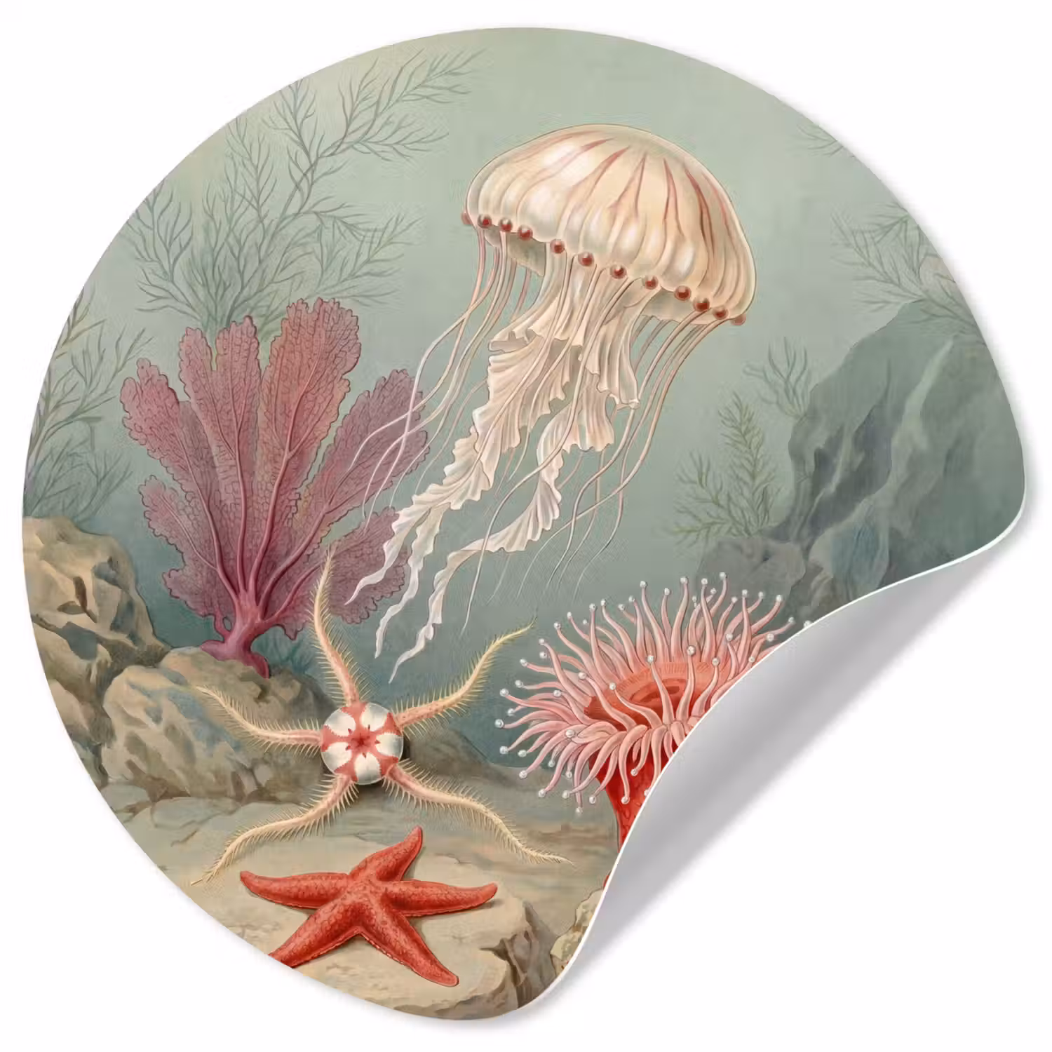 Zeeleven - Kwal - Onderwater - Illustratie - Beige Wandcirkel behangsticker klein -3d