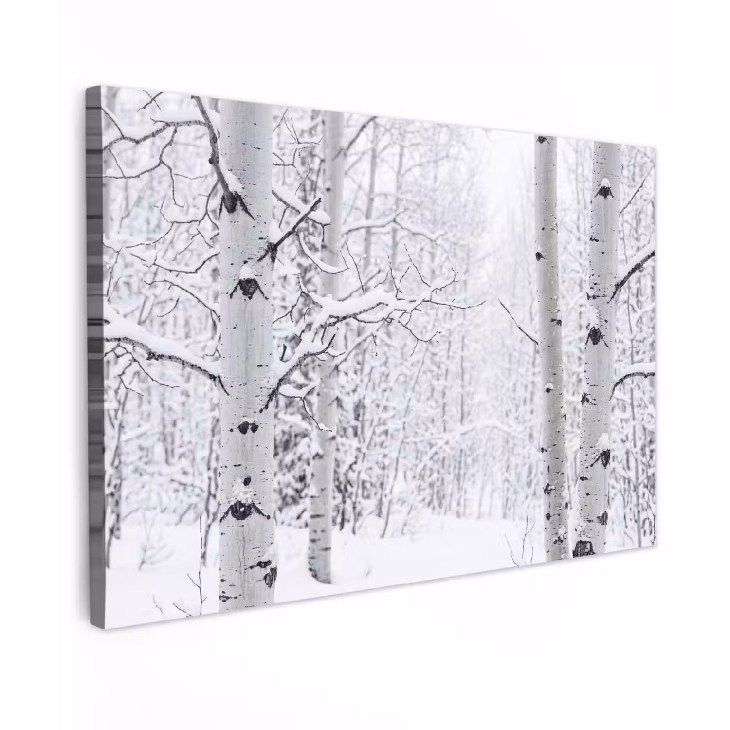 Berkenbomen - Sneeuw - Winter - Bos - Wit Tuinposter op houten frame 2 cm dik klein -3d