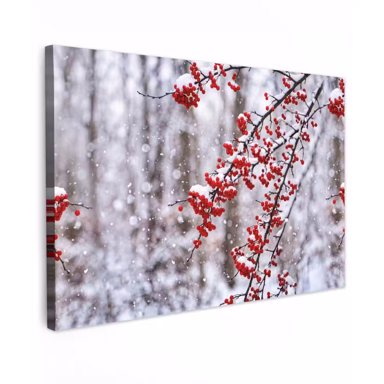 Bessen - Takken - Sneeuw - Winter - Kleurrijk Tuinposter op houten frame 2 cm dik klein -3d