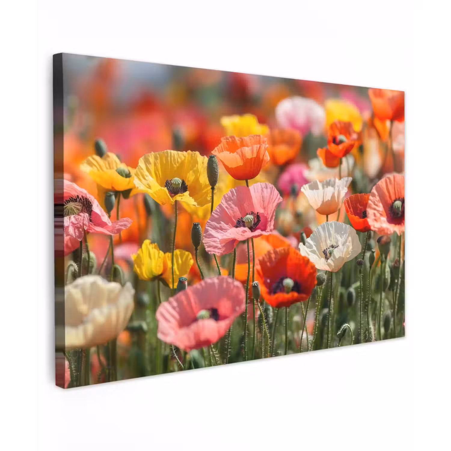 Bloemenveld - Klaprozen - Kleurrijk Tuinposter op houten frame 2 cm dik klein -3d
