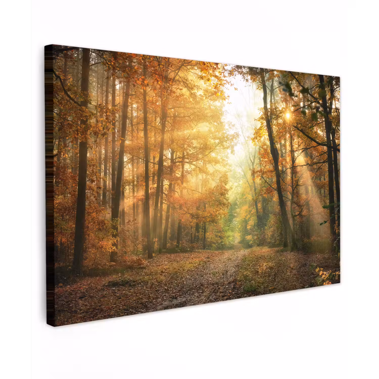 Bos - Herfst - Zon - Landschap - Natuur - Bomen - Bladeren Tuinposter op houten frame 2 cm dik klein -3d