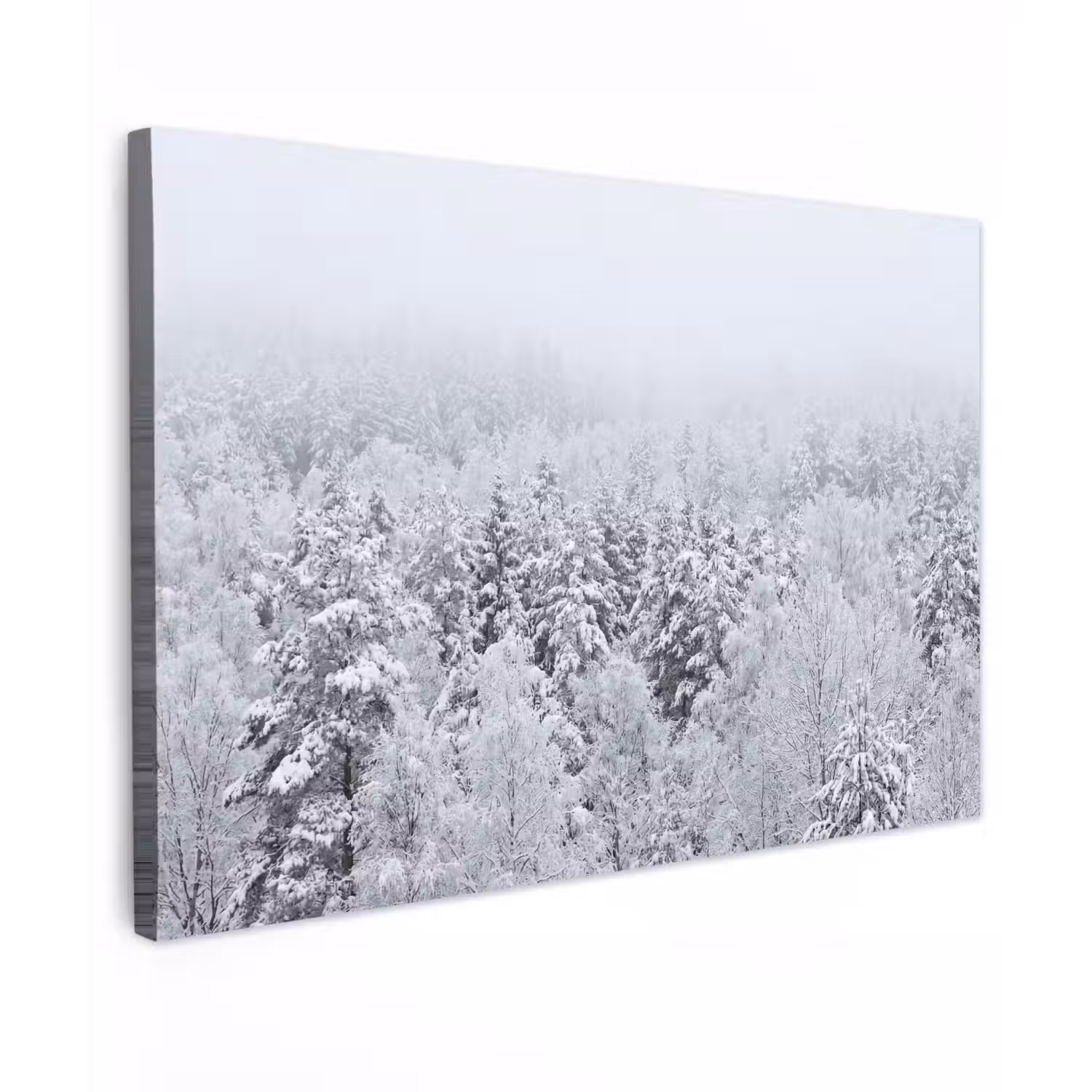 Bos - Sneeuw - Winter - Natuur - Wit Tuinposter op houten frame 2 cm dik klein -3d