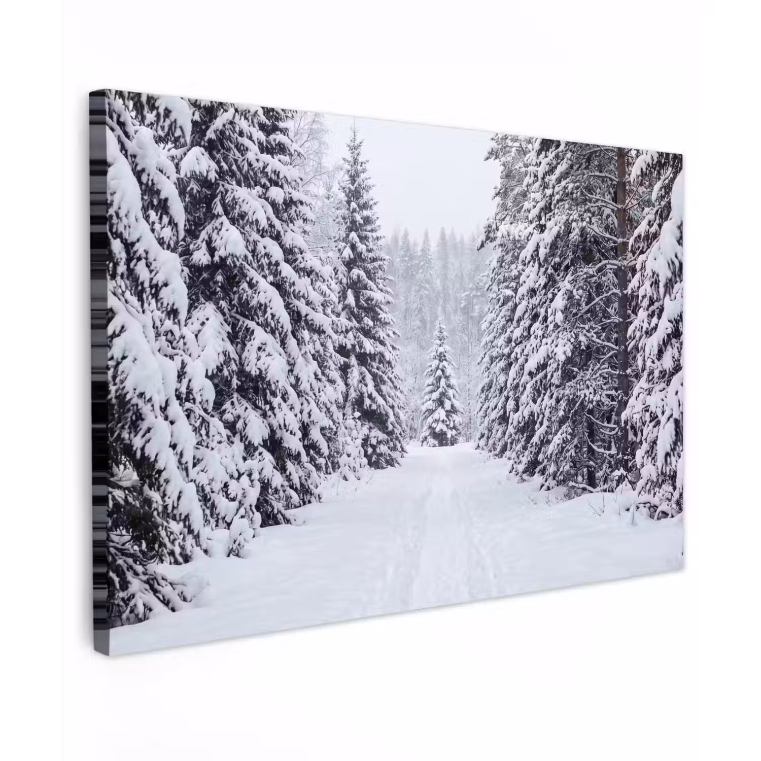 Bos - Winter - Sneeuw - Pad - Natuur Tuinposter op houten frame 2 cm dik klein -3d