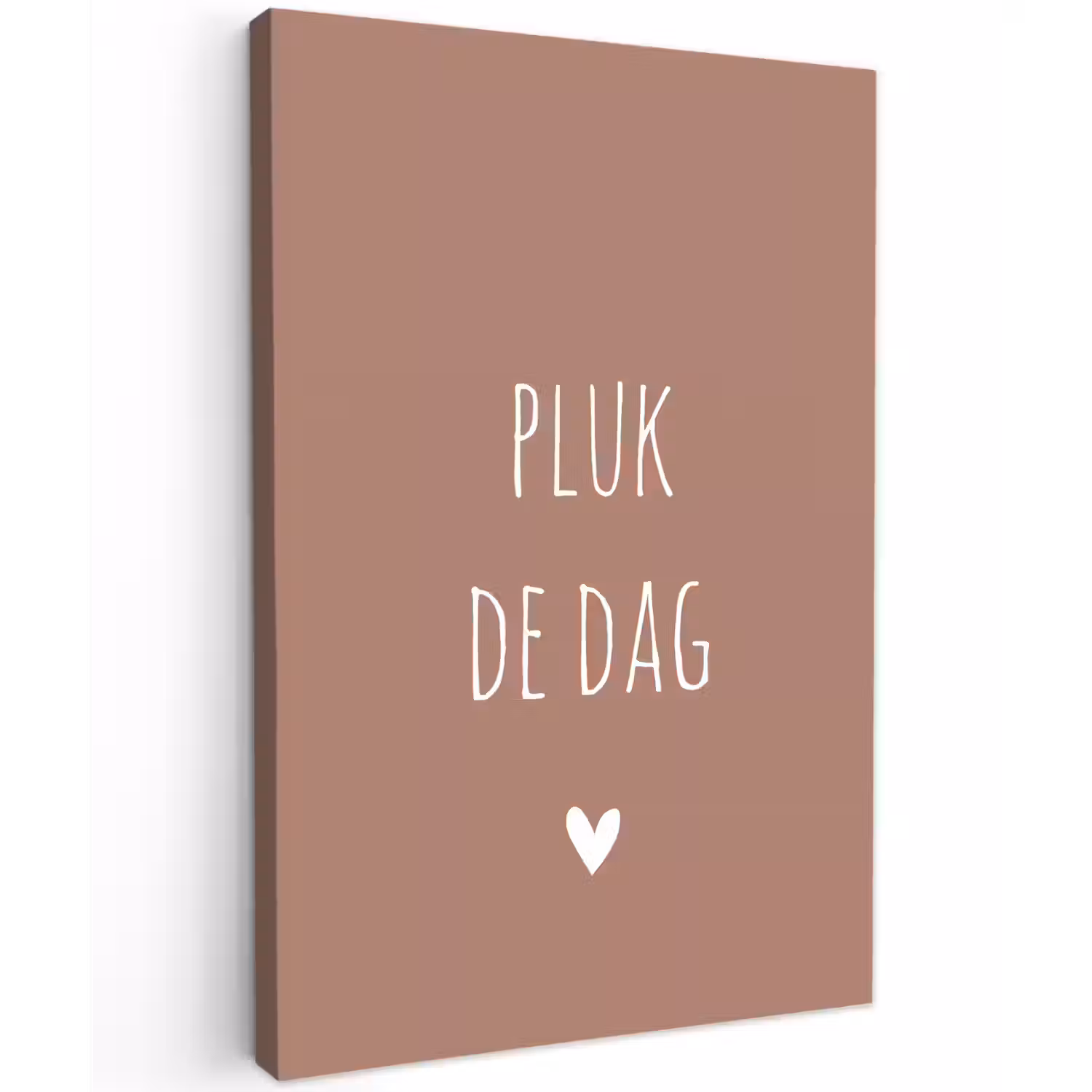Carpe diem - Spreuken - Pluk de dag - Quotes Tuinposter op houten frame 2 cm dik klein -3d