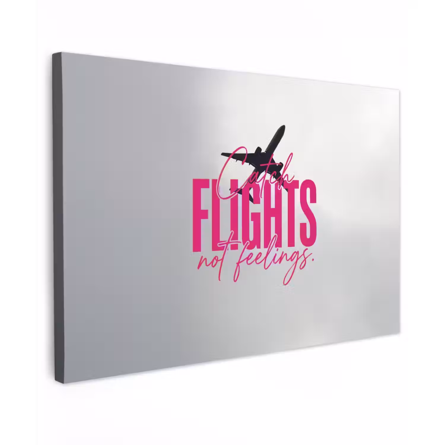Catch flights not feelings - Vliegtuig - Roze Tuinposter op houten frame 2 cm dik klein -3d