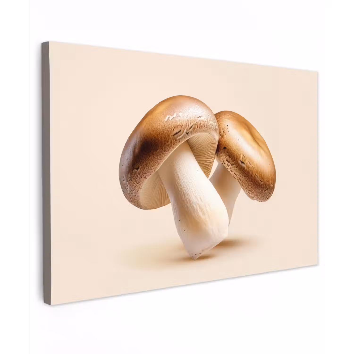 Champignons - Zacht - Beige Tuinposter op houten frame 2 cm dik klein -3d