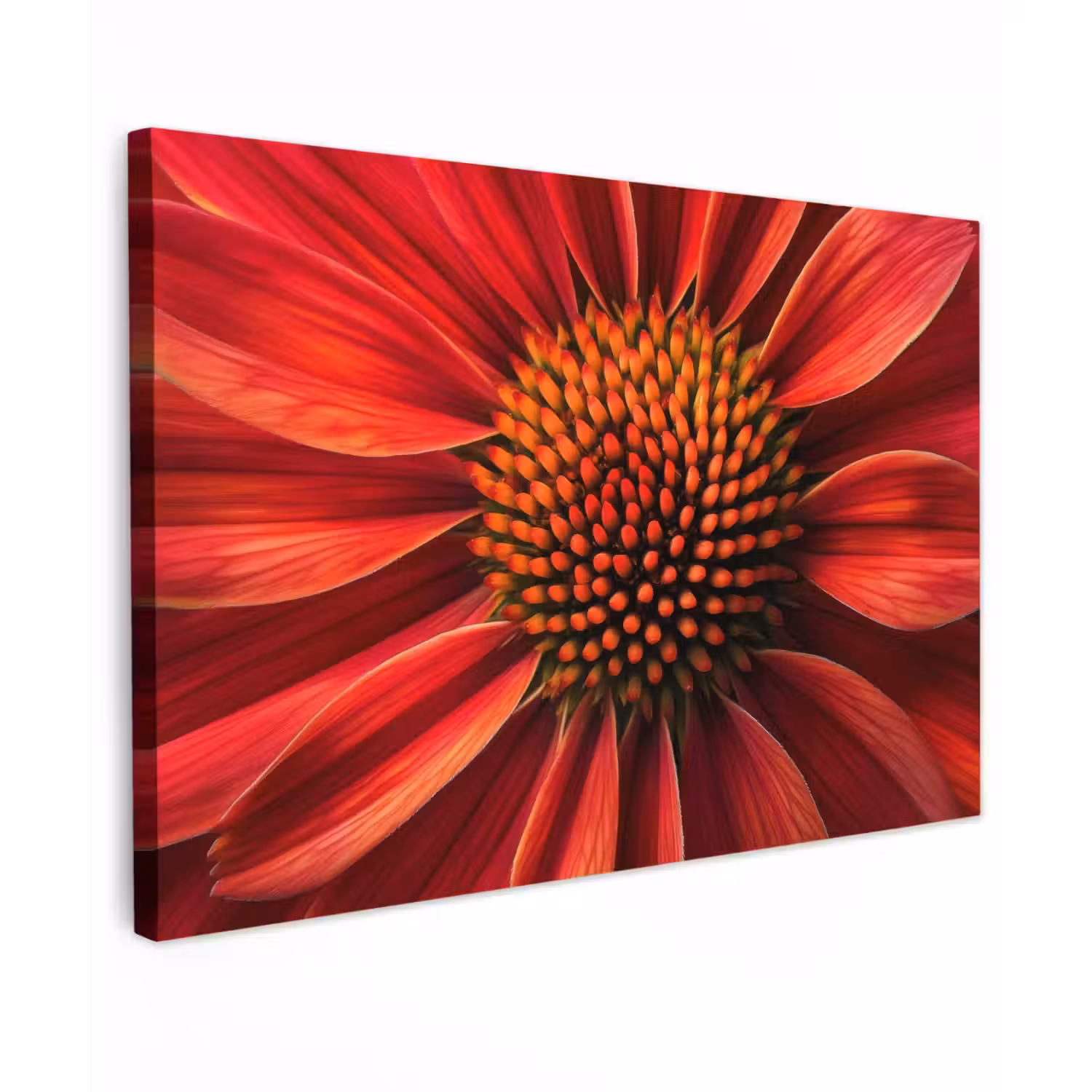 Close up - Bloem- Rood Tuinposter op houten frame 2 cm dik klein -3d