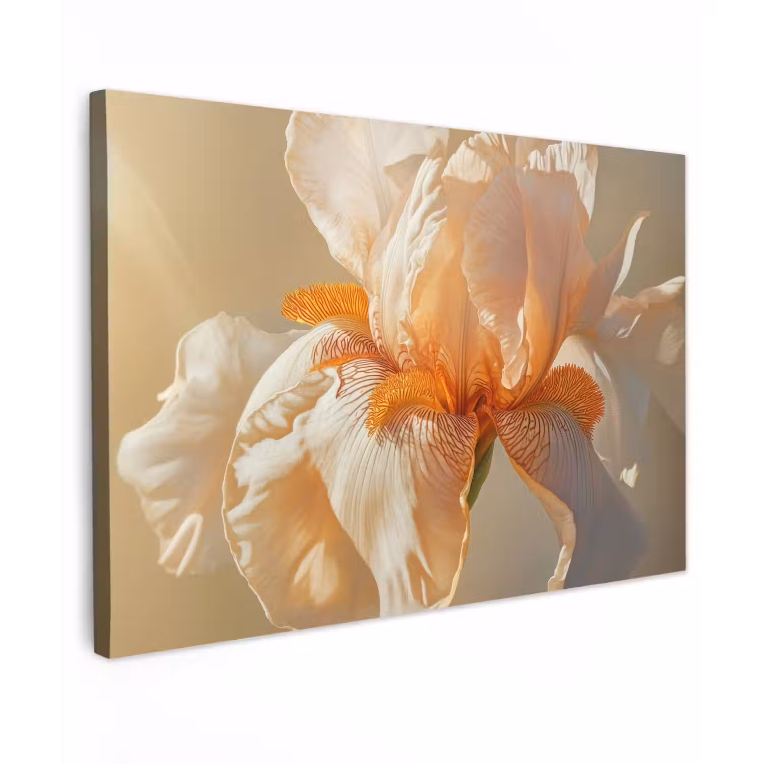 Close up - Oranje - Iris Tuinposter op houten frame 2 cm dik klein -3d