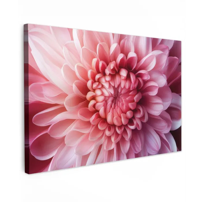 Dahlia - Bloem - Close up - Roze Tuinposter op houten frame 2 cm dik klein -3d