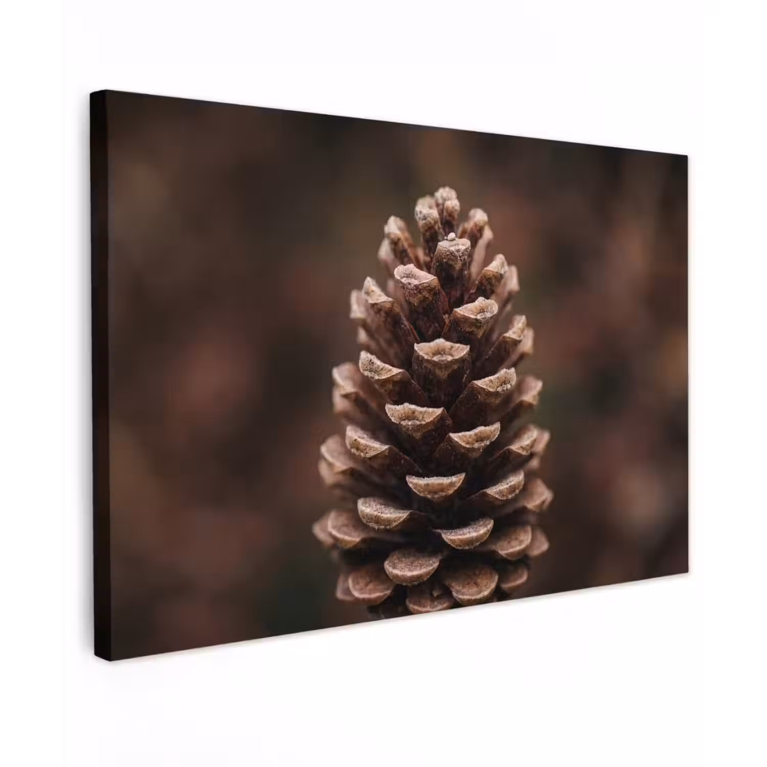 Dennenappel - Bos - Herfst - Bruin - Sfeervol Tuinposter op houten frame 2 cm dik klein -3d