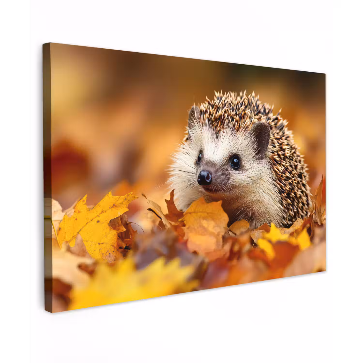 Egel - Bos - Herfstbladeren - Herfst - Bosdieren - Natuur Tuinposter op houten frame 2 cm dik klein -3d