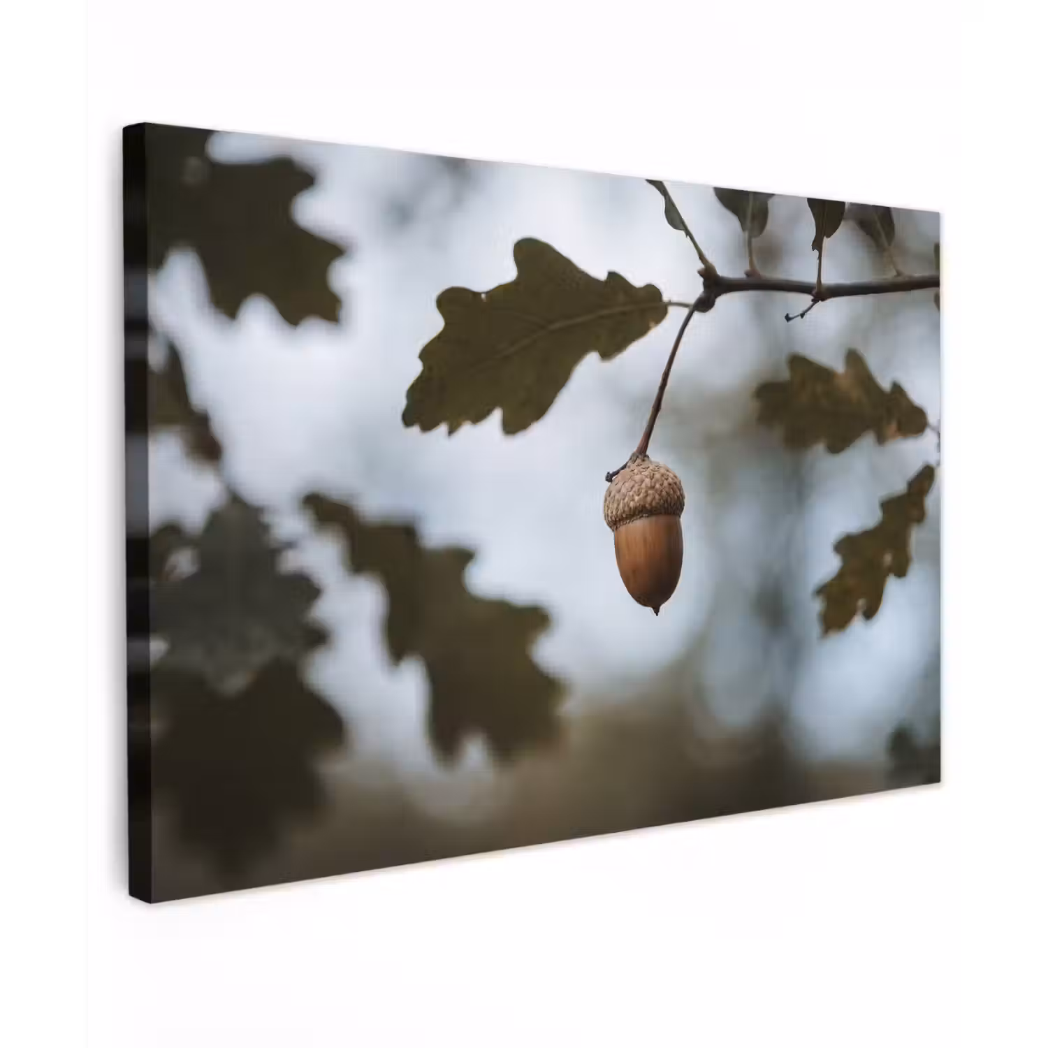 Eikel - Eikenblad - Bos - Herfst - Natuur Tuinposter op houten frame 2 cm dik klein -3d