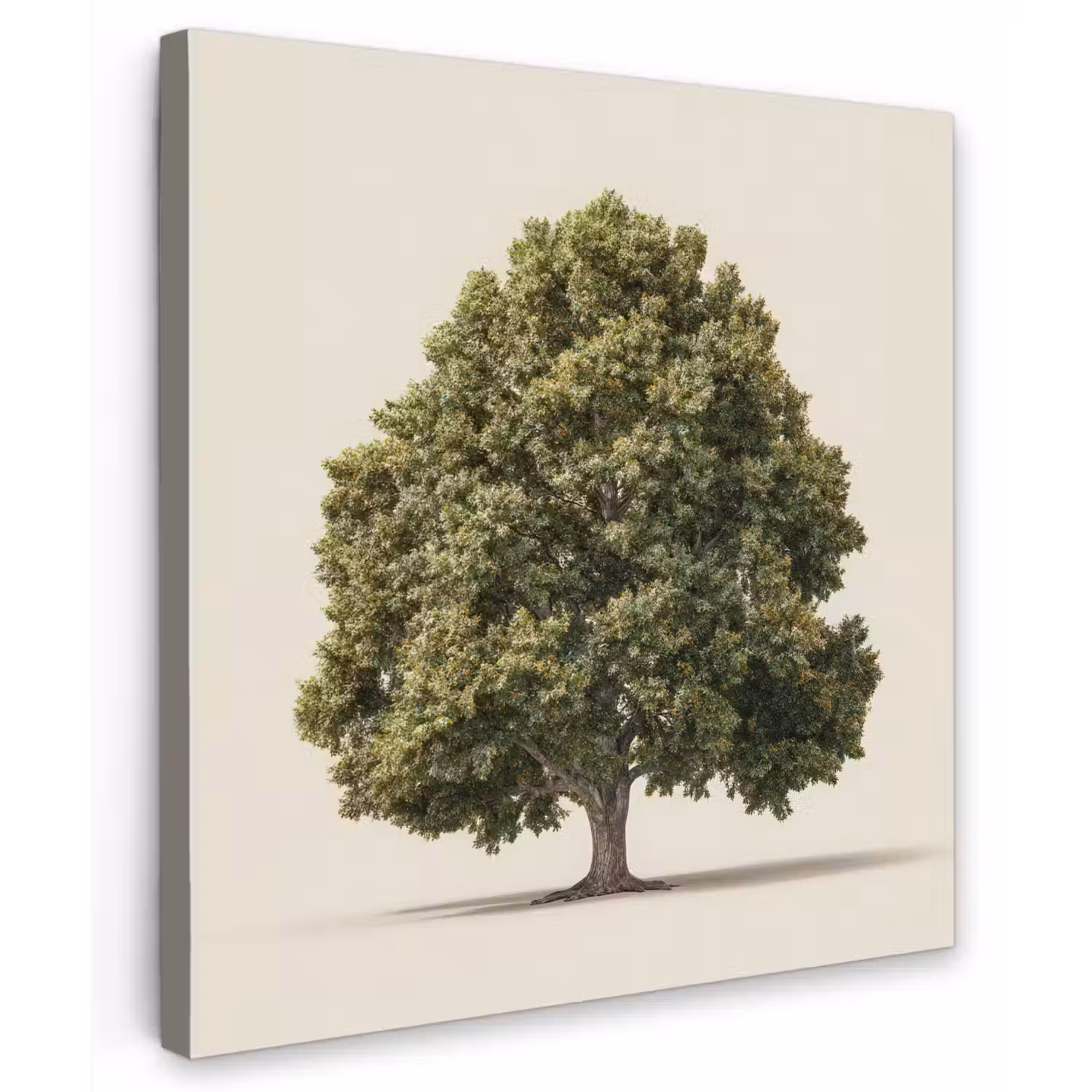 Eikenboom - Groen - Lichte achtergrond Tuinposter op houten frame 2 cm dik middel -3d
