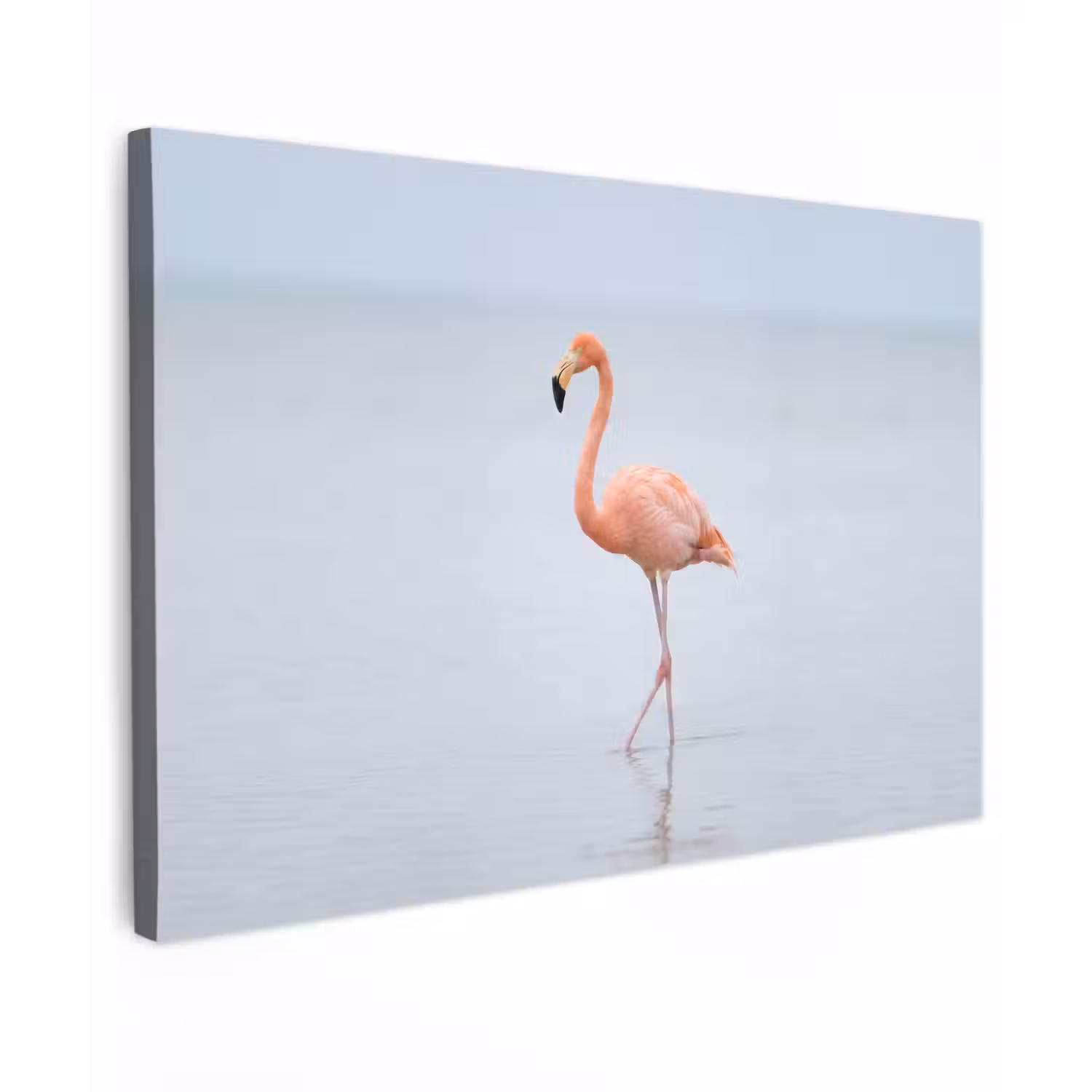 Flamingo - Zee - Roze Tuinposter op houten frame 2 cm dik klein -3d