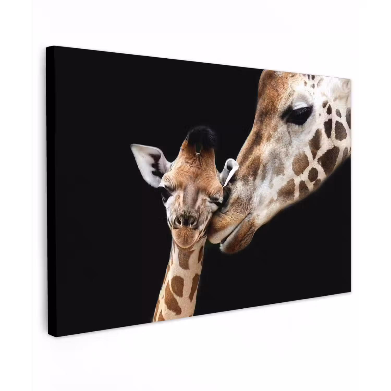Giraffe - Dieren - Zwart - Portret - Dieren Tuinposter op houten frame 2 cm dik klein -3d