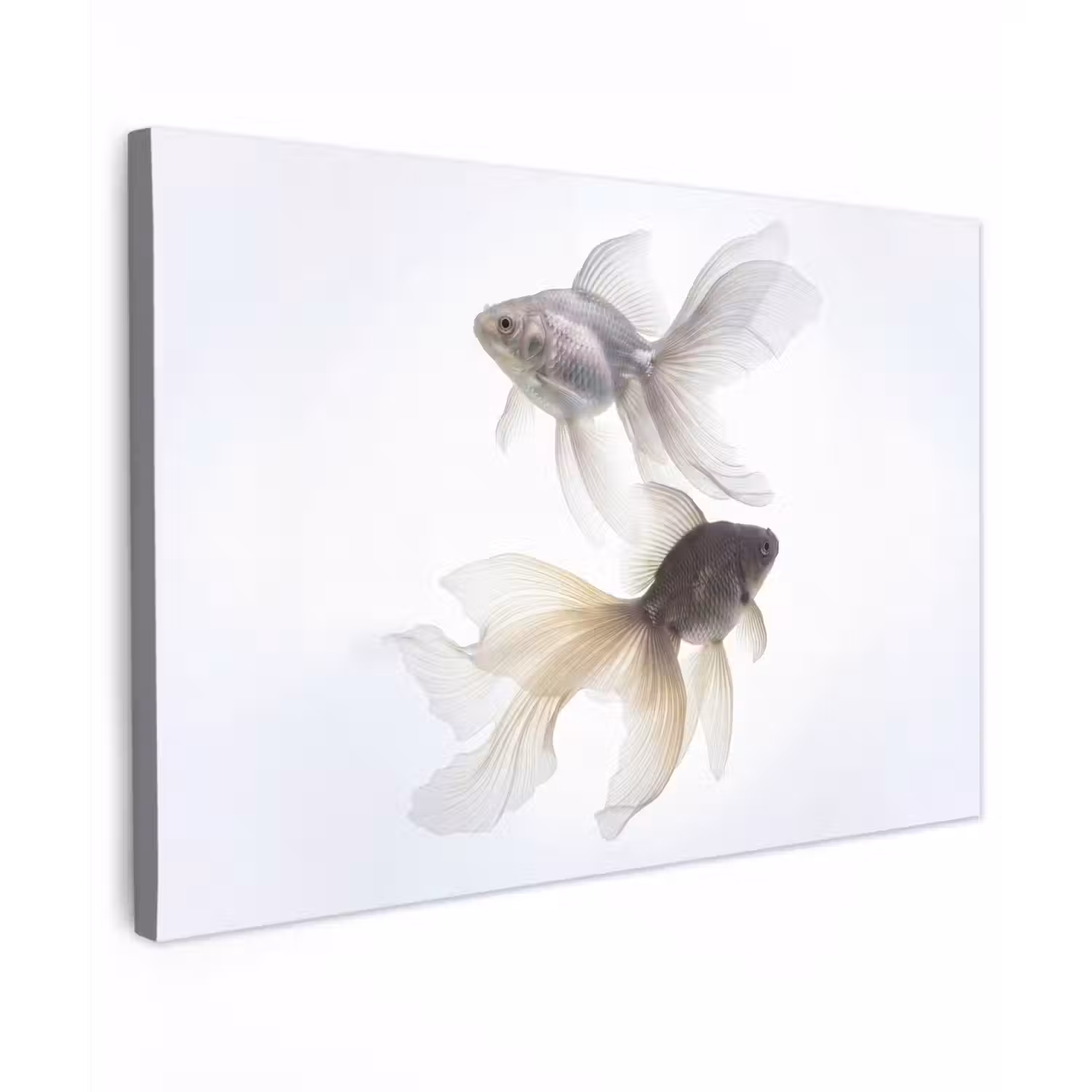 Goudvissen - Modern - Wit Tuinposter op houten frame 2 cm dik klein -3d