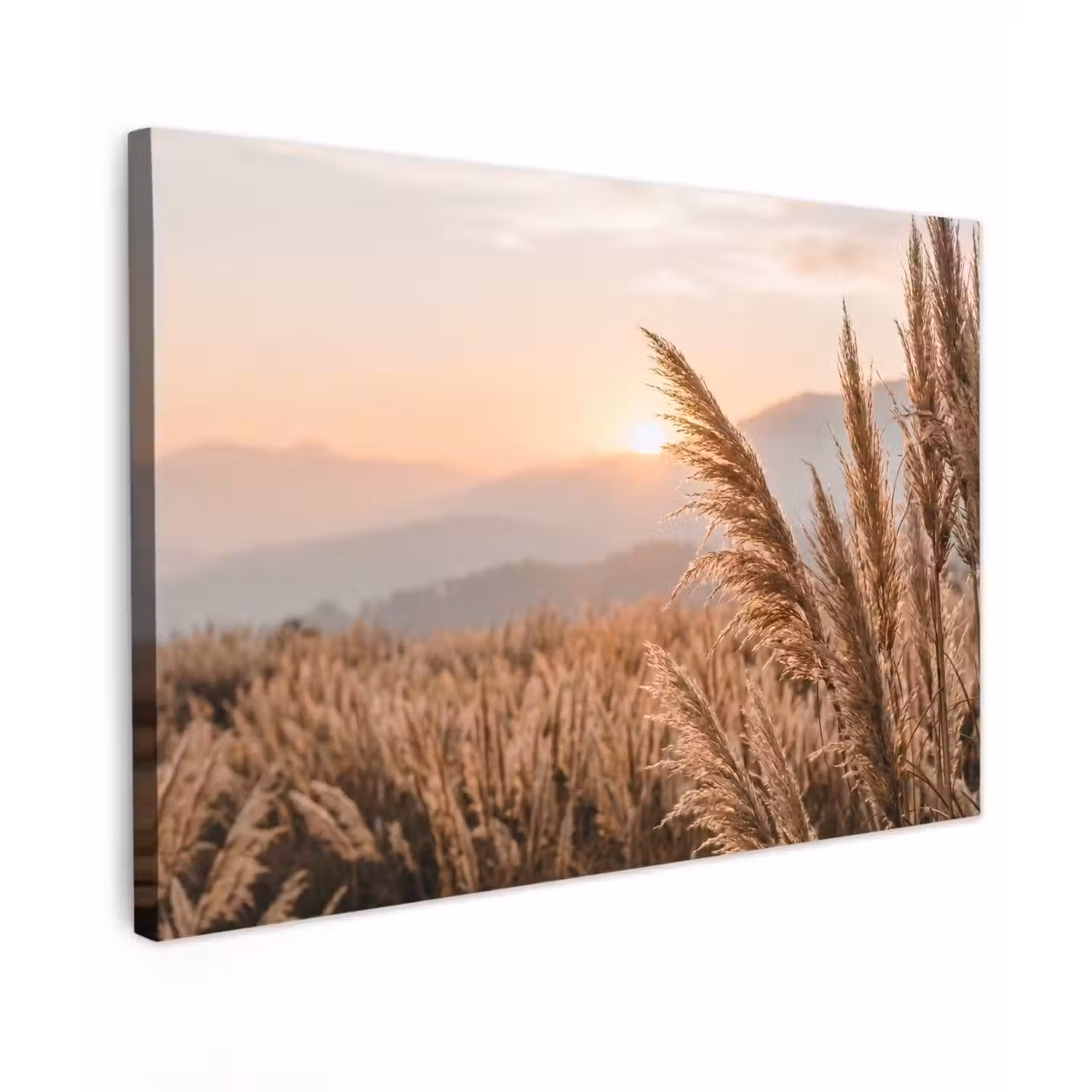 Gras - Veld - Zon - Natuur Tuinposter op houten frame 2 cm dik klein -3d