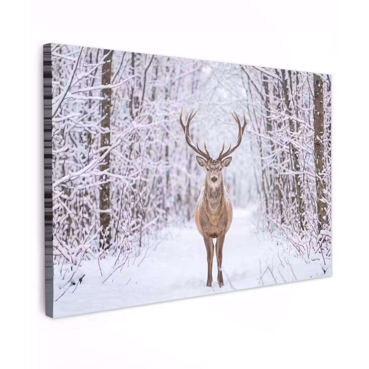 Hert - Winter - Bos - Natuur - Wit Tuinposter op houten frame 2 cm dik klein -3d