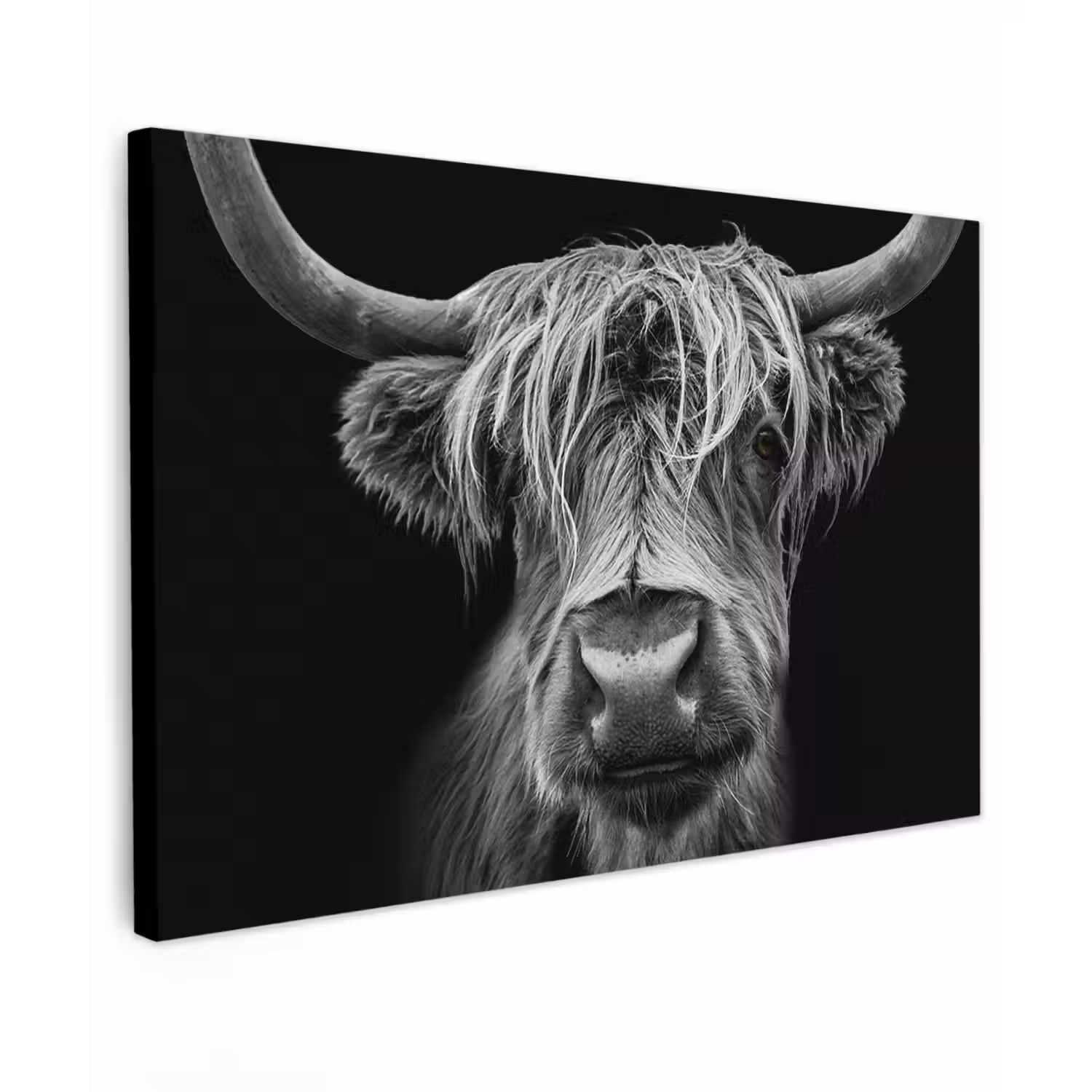 Hooglander in Zwart-Wit Tuinposter op houten frame 2 cm dik klein -3d