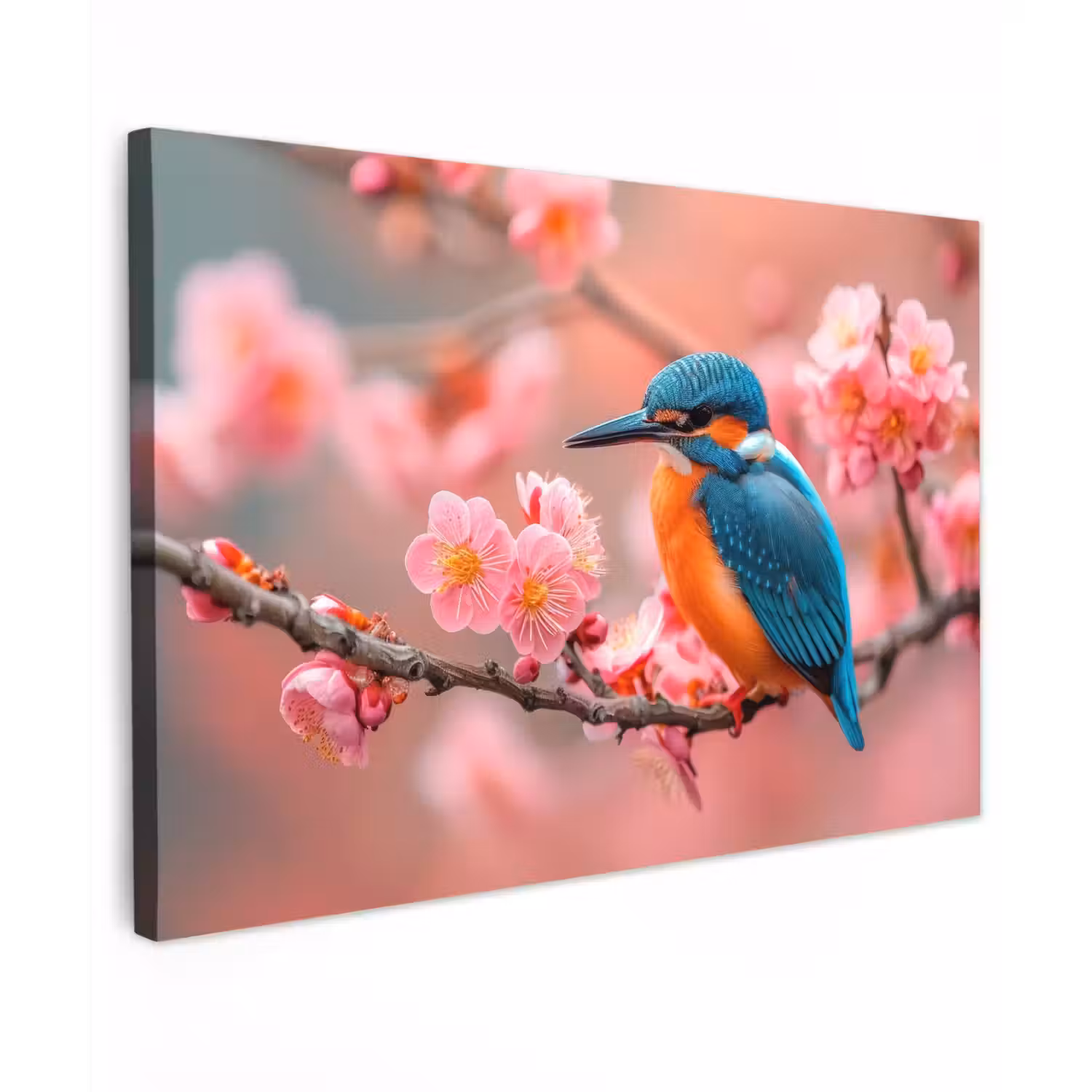 IJsvogel tussen Kersenbloesems Tuinposter op houten frame 2 cm dik klein -3d