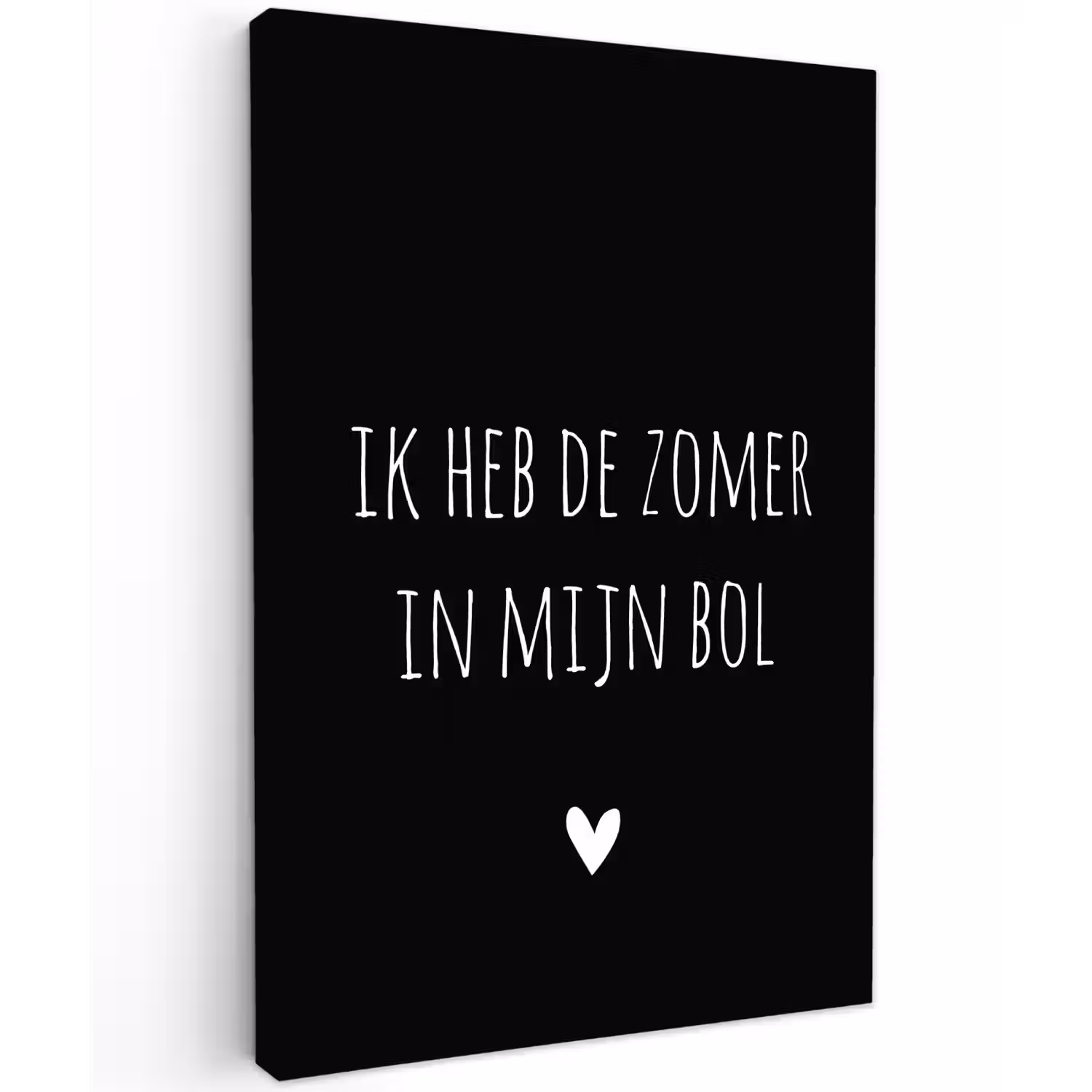 Ik heb de zomer in mijn bol - Quotes - Spreuken - André Hazes Tuinposter op houten frame 2 cm dik klein -3d
