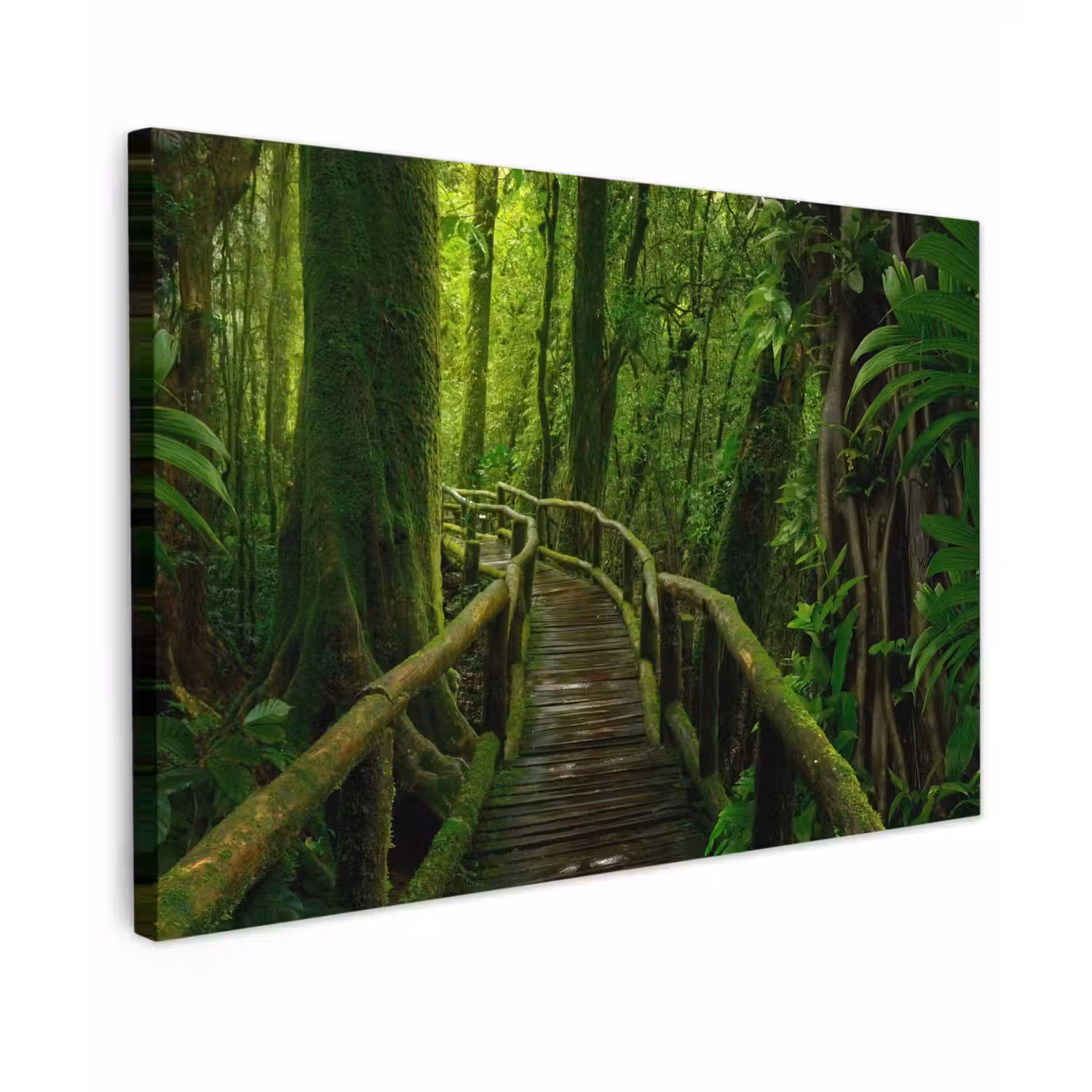 Jungle - Brug - Mos - Natuur - Tropisch Tuinposter op houten frame 2 cm dik klein -3d