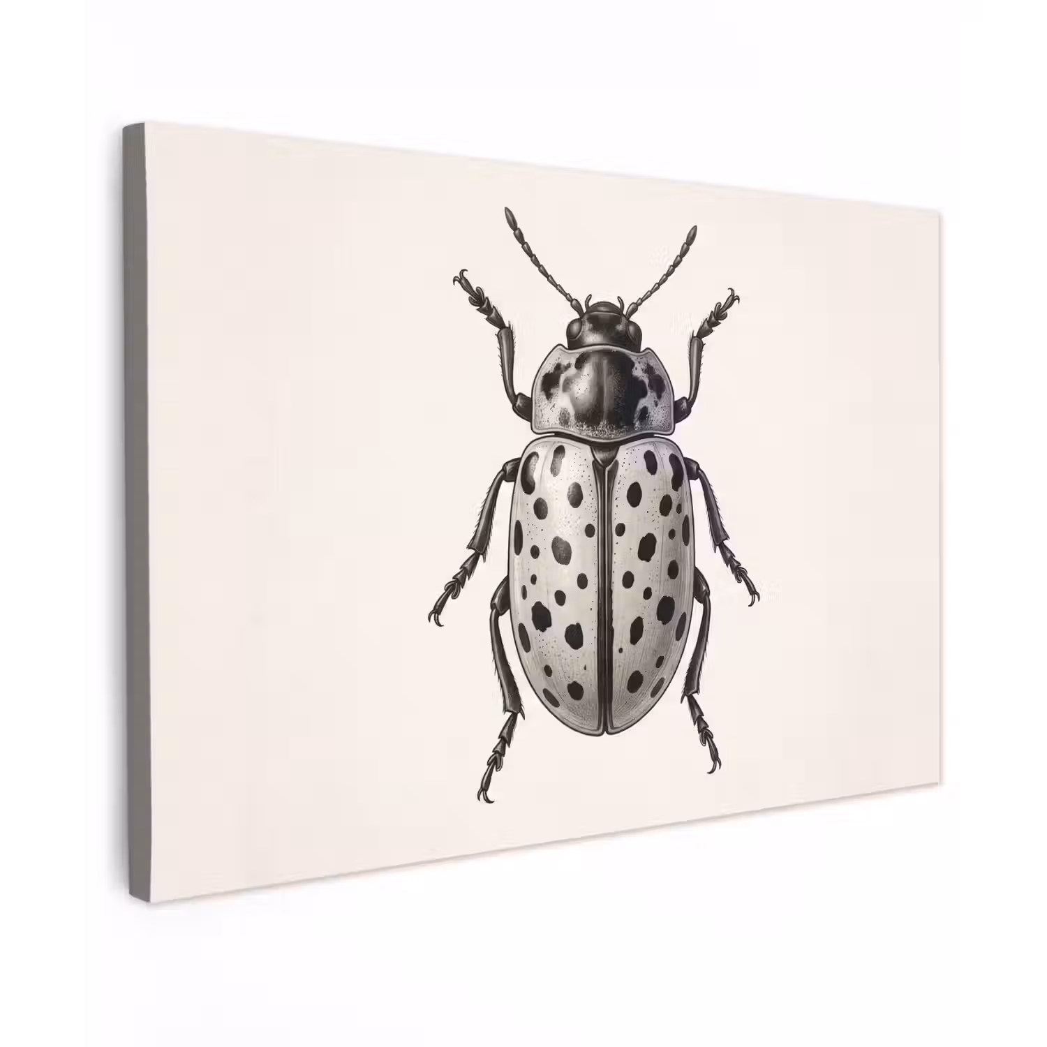 Kever - Insect - Vintage Tuinposter op houten frame 2 cm dik klein -3d